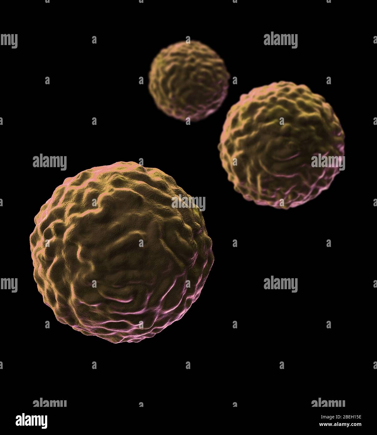 Stem Cells Stock Photo