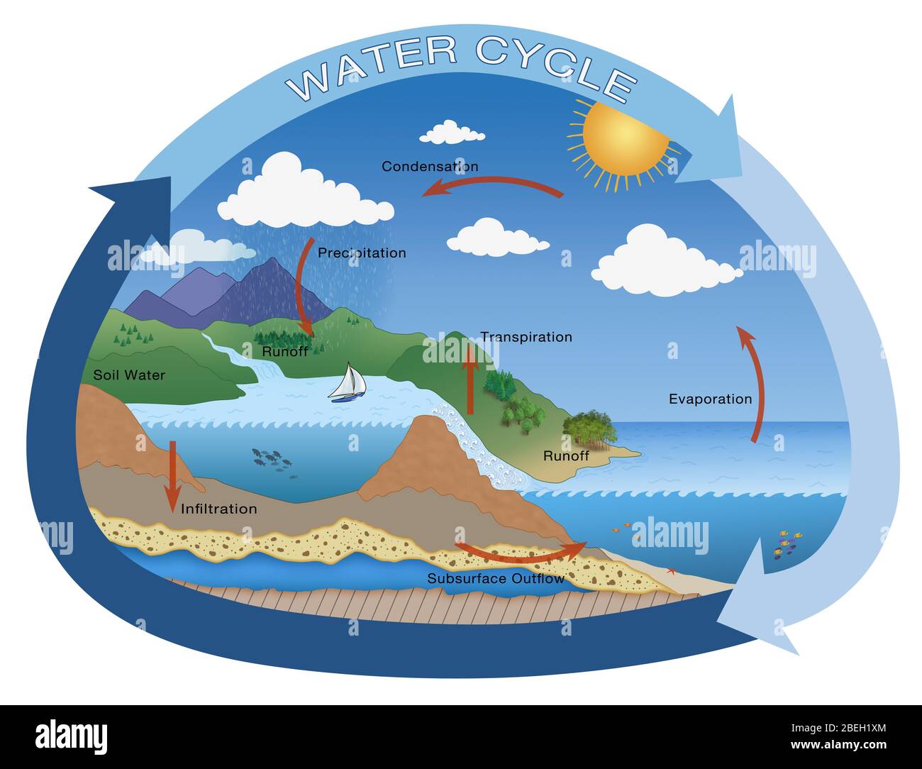 Water Cycle Diagram For 5th Grade