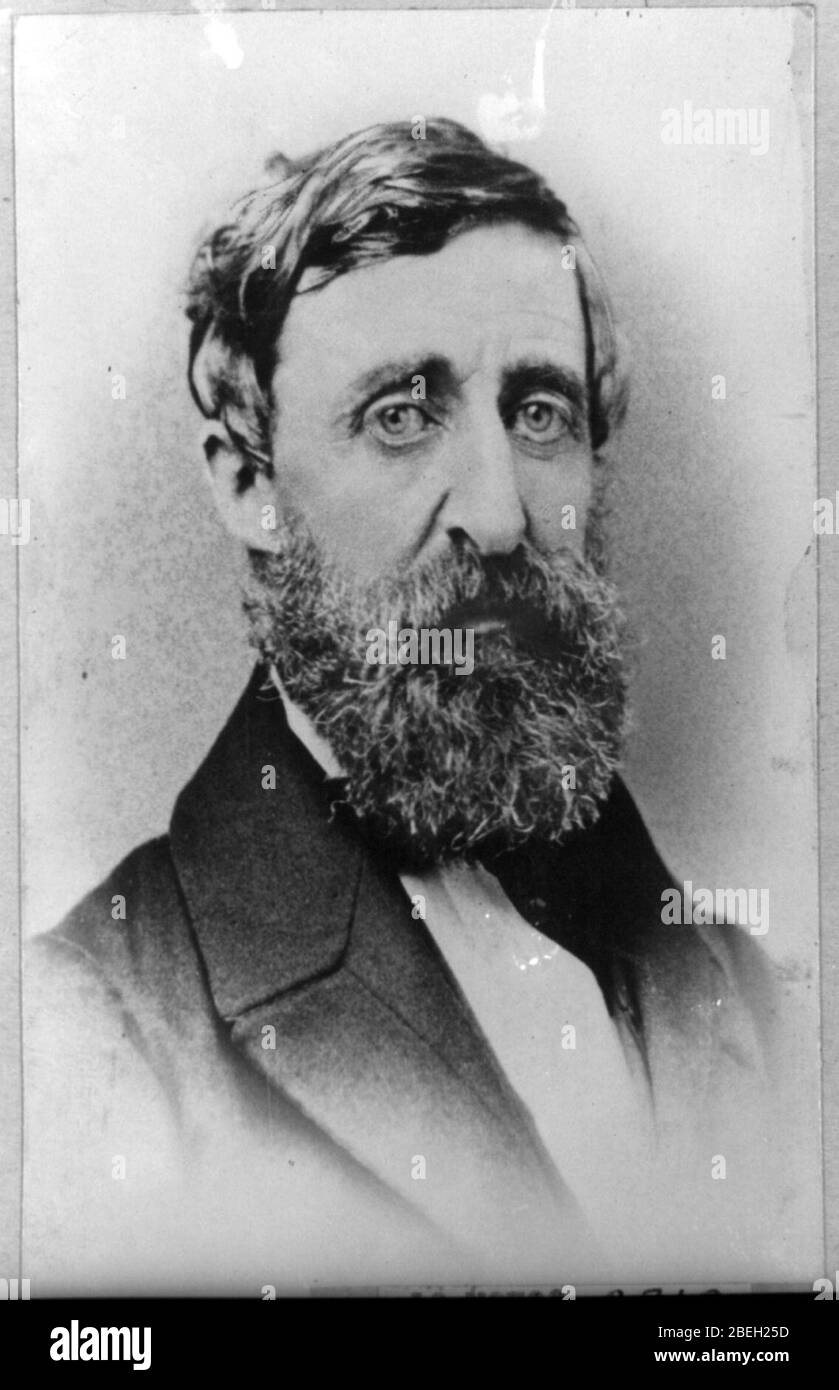 Henry David Thoreau, head-and-shoulders portrait, facing slightly right Stock Photo
