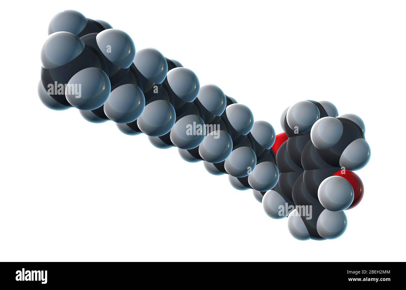 Vitamin E, Molecular Model Stock Photo