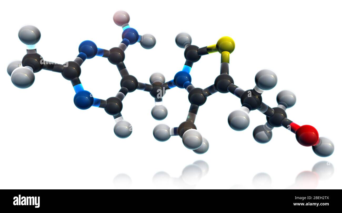 Vitamin B1, Molecular Model Stock Photo Alamy