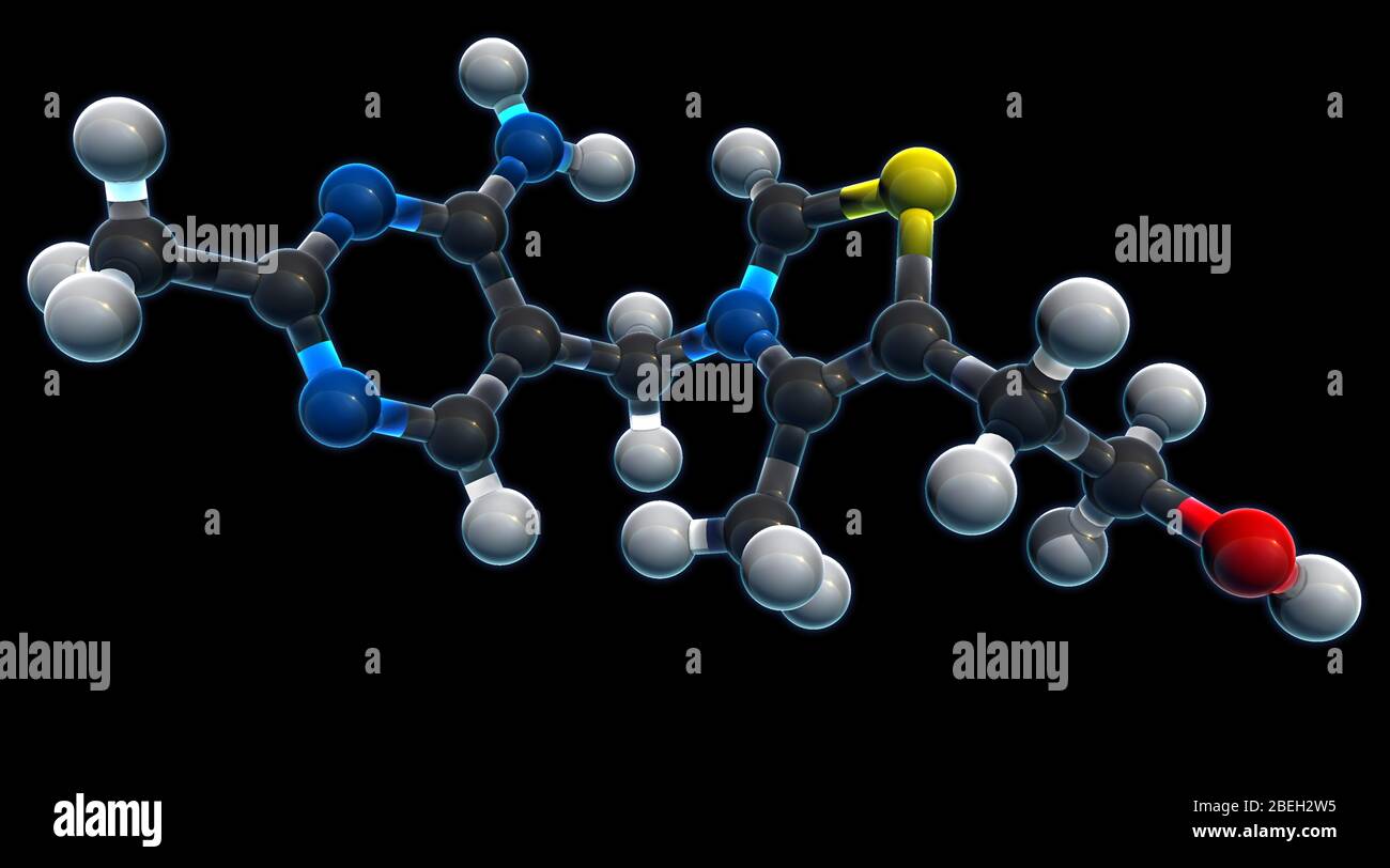 Vitamin B1, Molecular Model Stock Photo Alamy