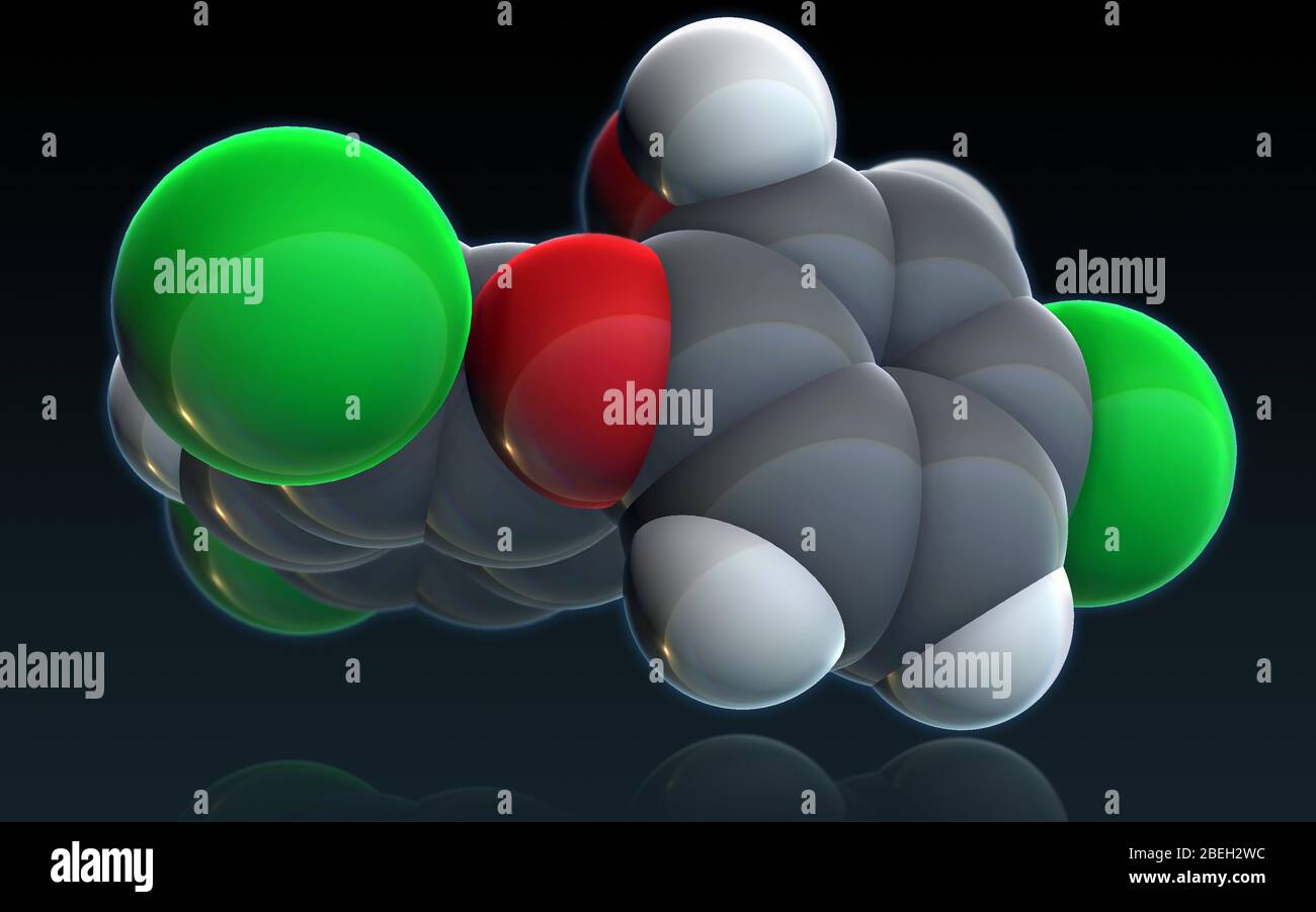 A molecular model of triclosan, an antibacterial and antifungal agent used in many consumer products such as soap, shampoo, deodorant, toothpaste, mouthwash and cleaning supplies.  Triclosan works by inhibiting fatty acid synthesis, a process necessary for replicating bacterial cell membranes.  Atoms are colored dark gray (carbon), light gray (hydrogen), red (oxygen) and green (chlorine). Stock Photo