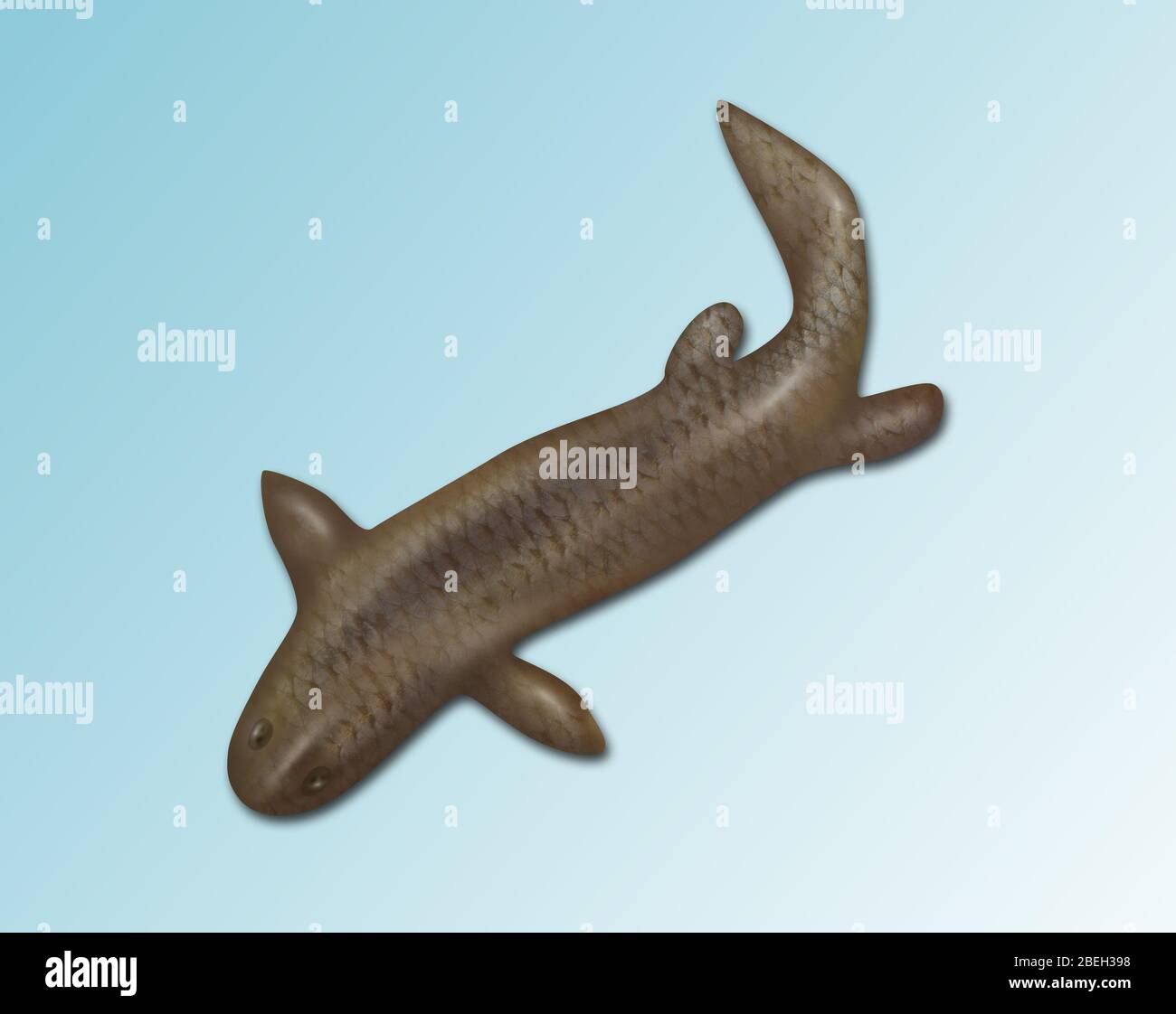 Panderichthys, Extinct Fish Stock Photo