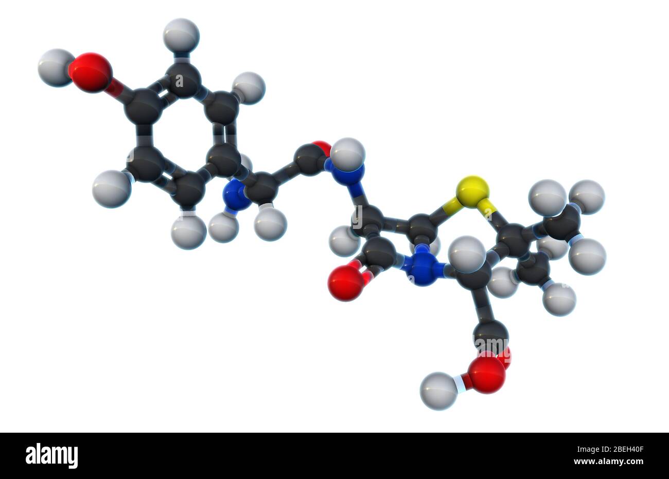 A molecular model of amoxicillin, an antibiotic used to treat bacterial infections such as strep throat, urinary tract infections, salmonella, pneumonia, and lyme disease.  Amoxicillin is easily absorbed by the body, making it one of the most common antibiotics prescribed to patients, and functions by inhibiting the synthesis of bacterial cell walls.  Atoms are colored dark gray (carbon), light gray (hydrogen), red (oxygen), blue (nitrogen), and yellow (sulfur). Stock Photo