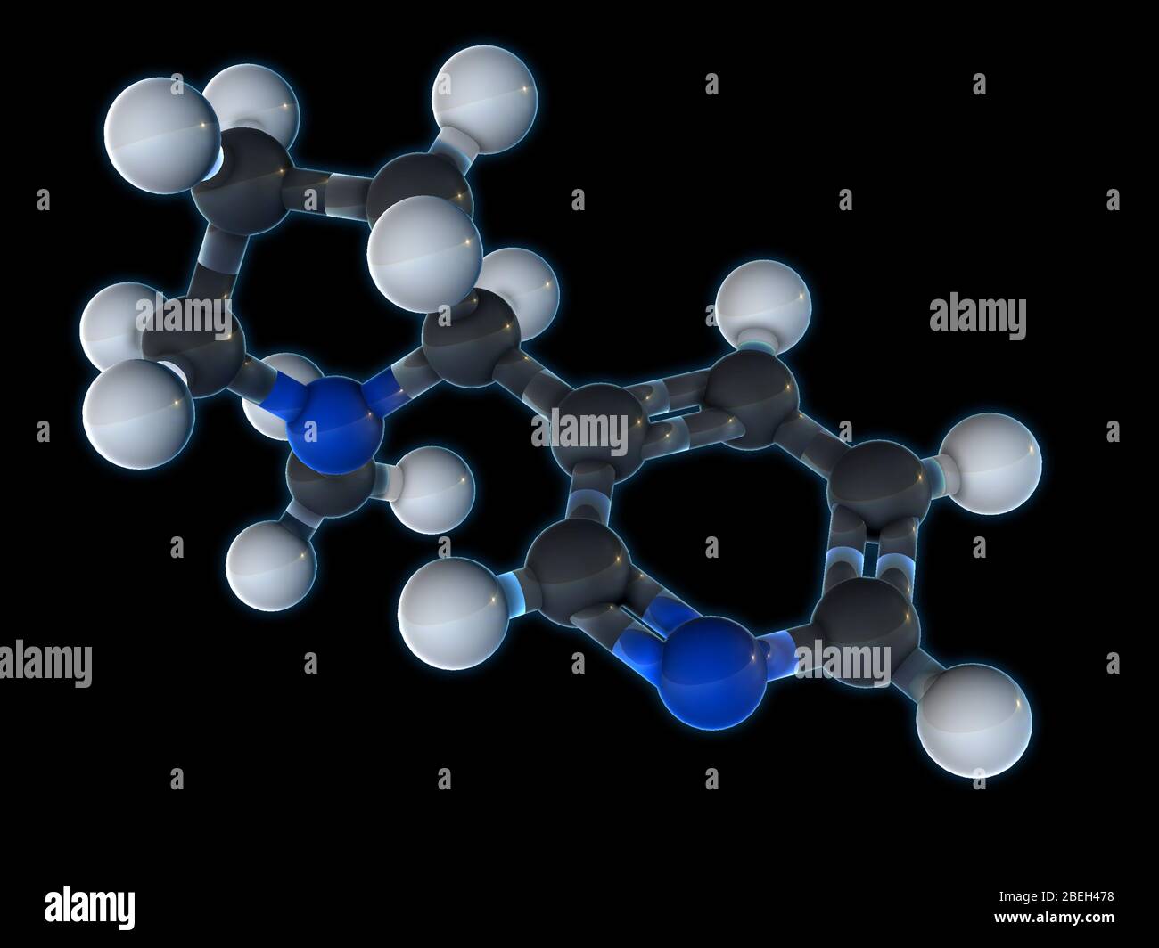 Nicotine Molecular Model Stock Photo