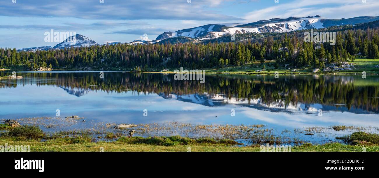 Pond in the Beartooth Mountains Stock Photo