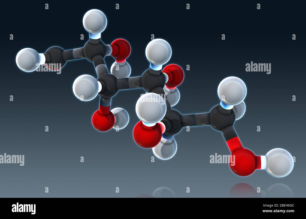 Cellular Respiration High Resolution Stock Photography And Images Alamy