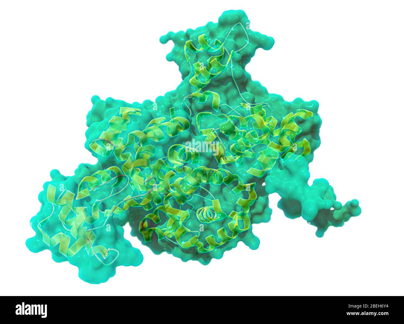Endolysin, Molecular Model Stock Photo