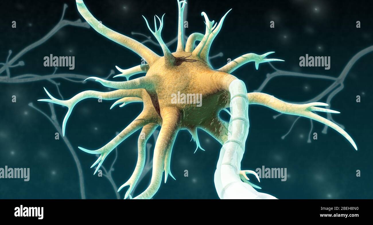 Neuron, Illustration Stock Photo