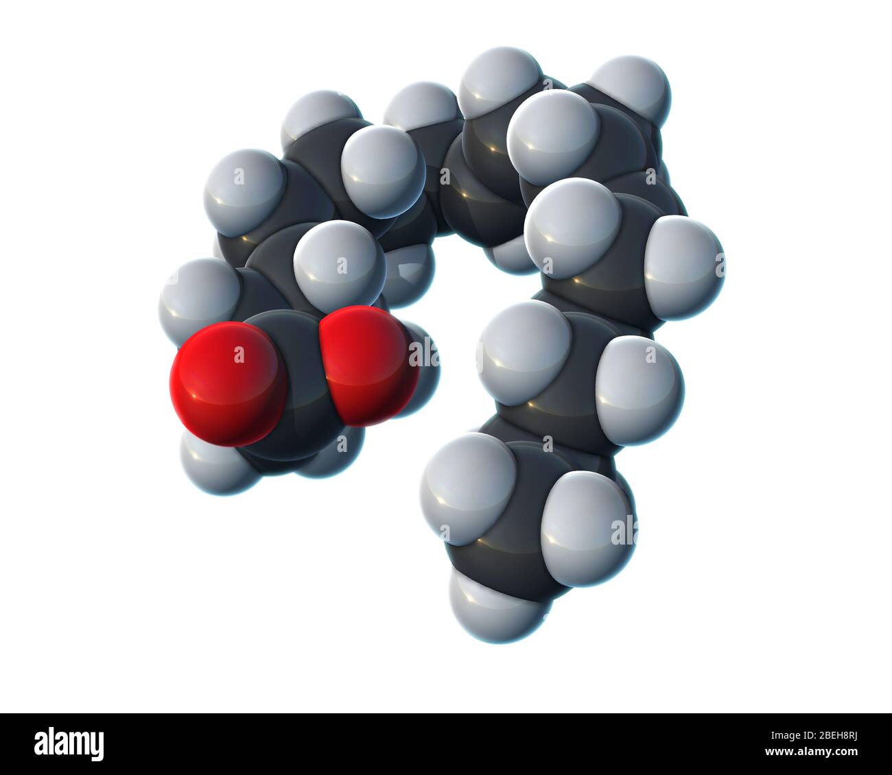 Linoleic Acid, Molecular Model Stock Photo