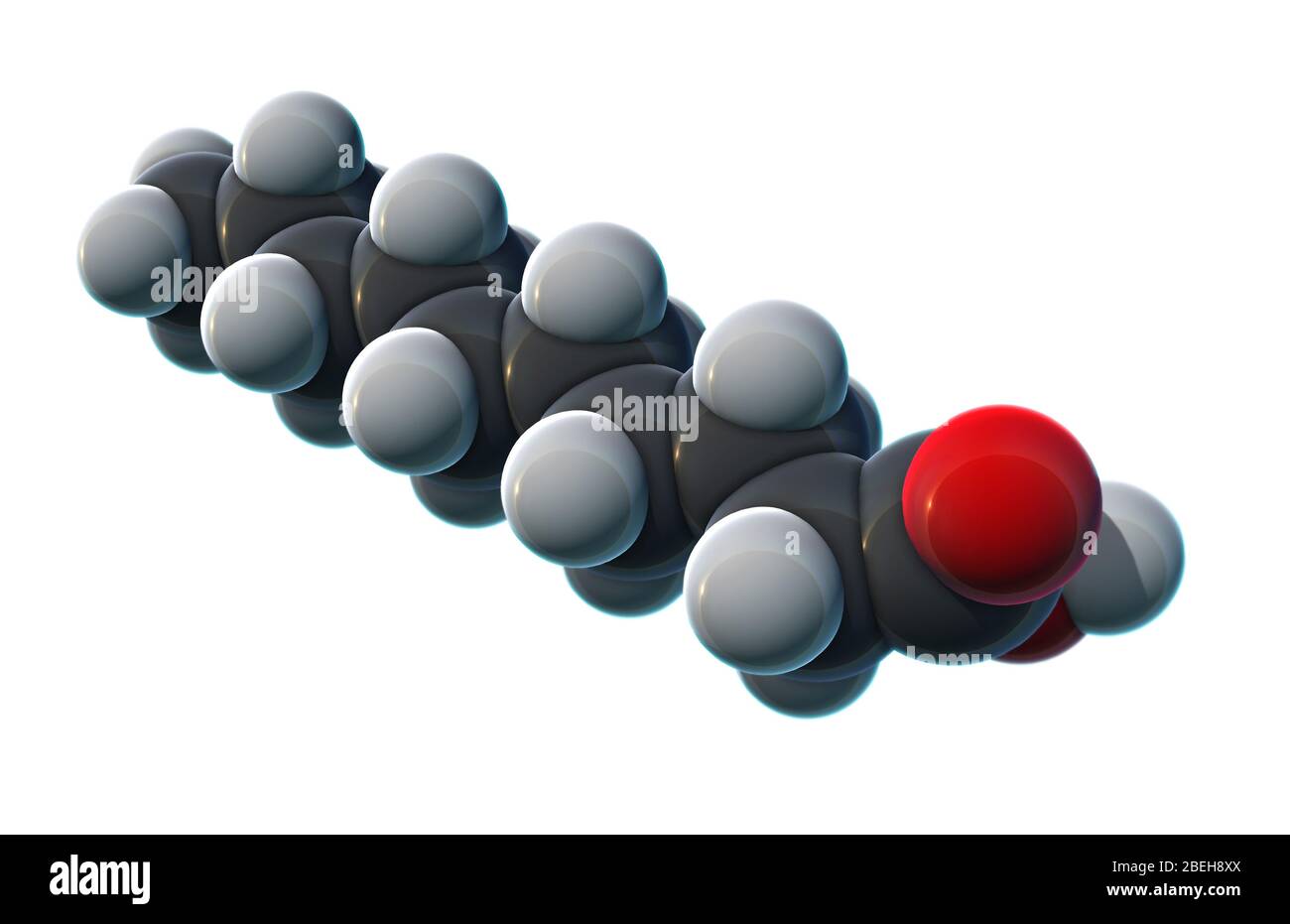 Decanoic Acid, Molecular Model Stock Photo