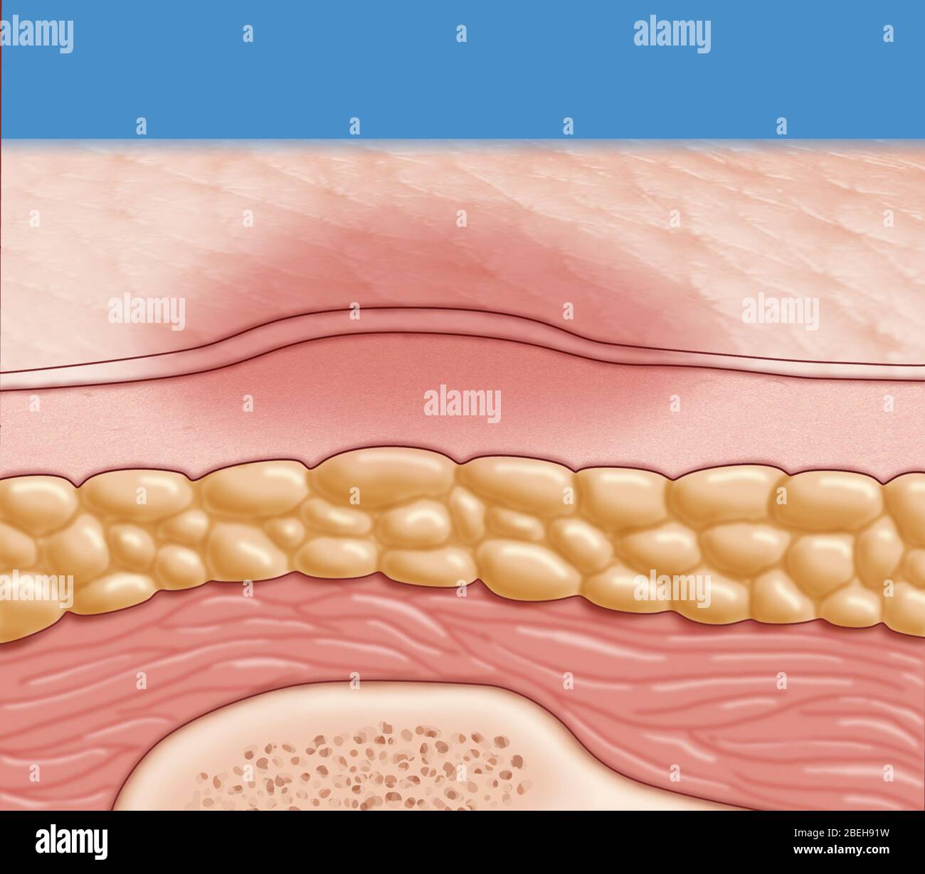1 pressure hires stock photography and images Alamy