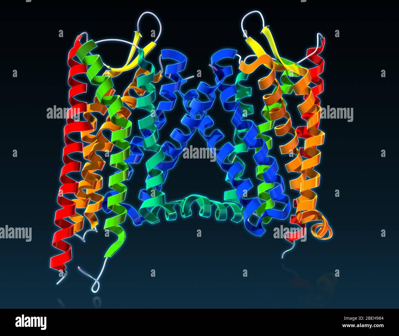 Kappa Opioid Receptor, molecular model Stock Photo - Alamy