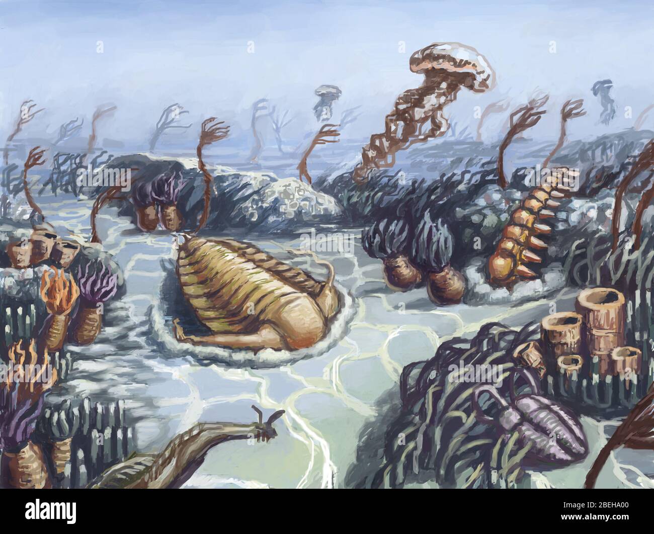 Cambrian period hires stock photography and images Alamy