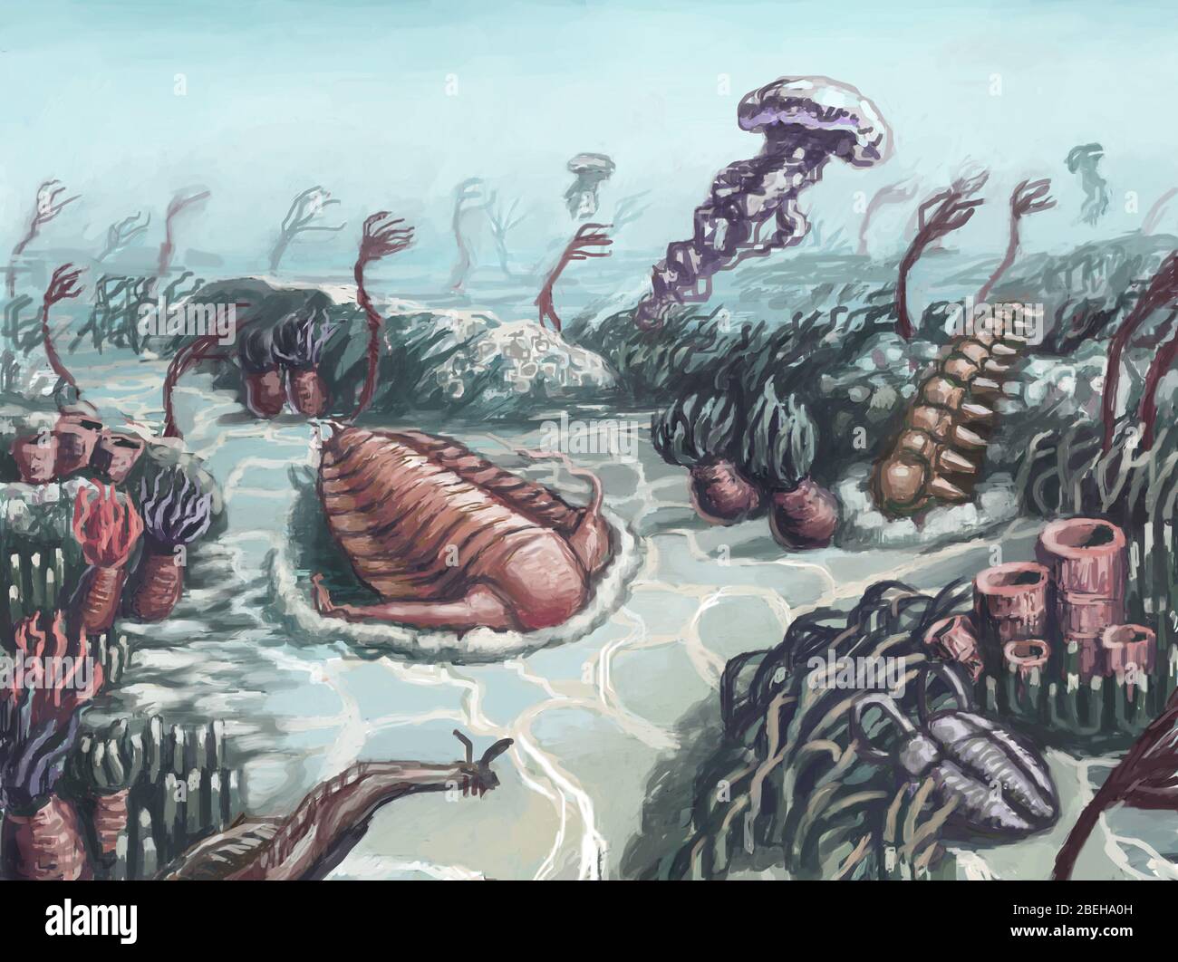 Cambrian illustration hi res stock photography and images Alamy