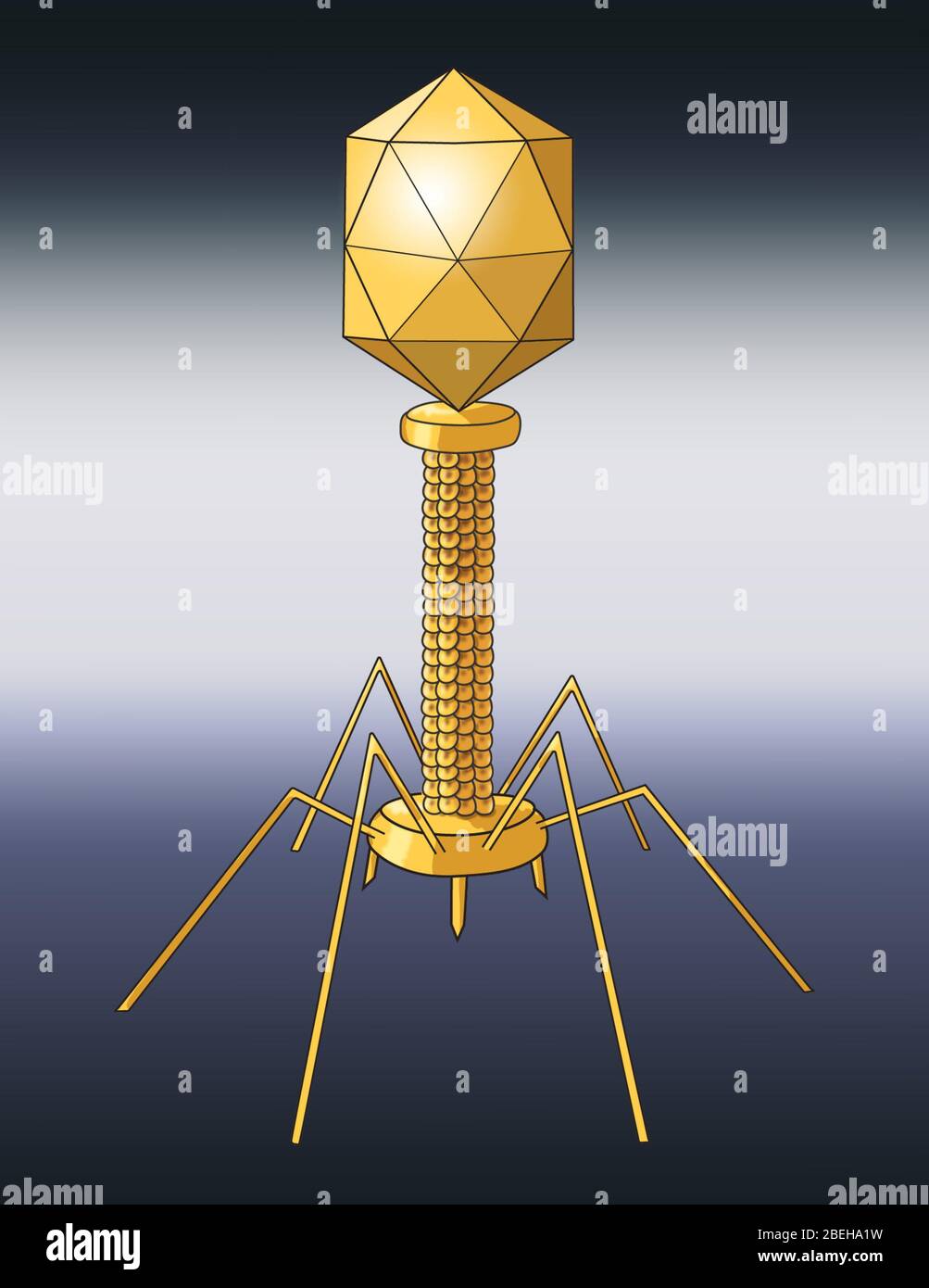 Virus Shape, Enveloped, Illustration Stock Photo Alamy