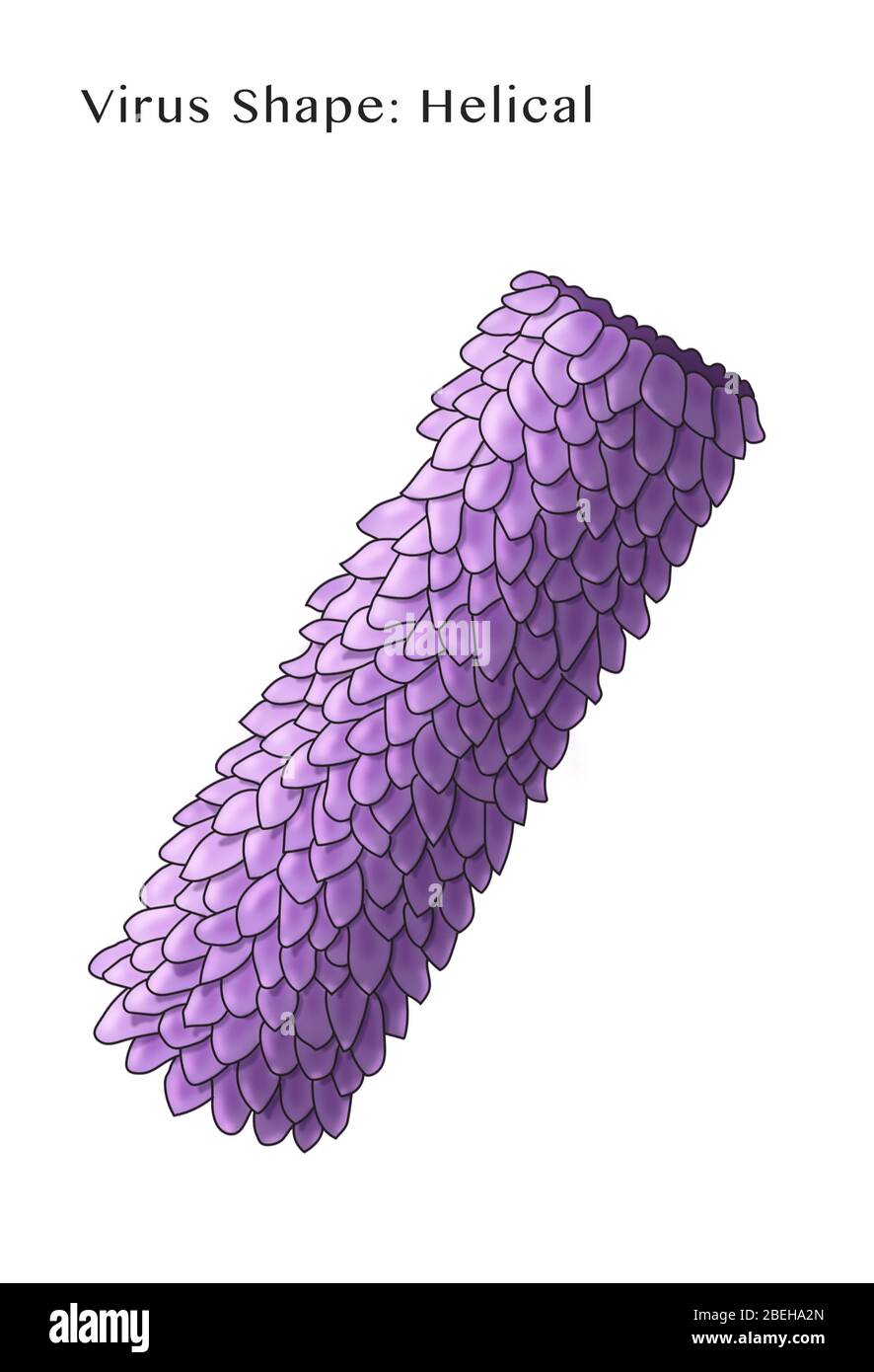 Helical hires stock photography and images Alamy