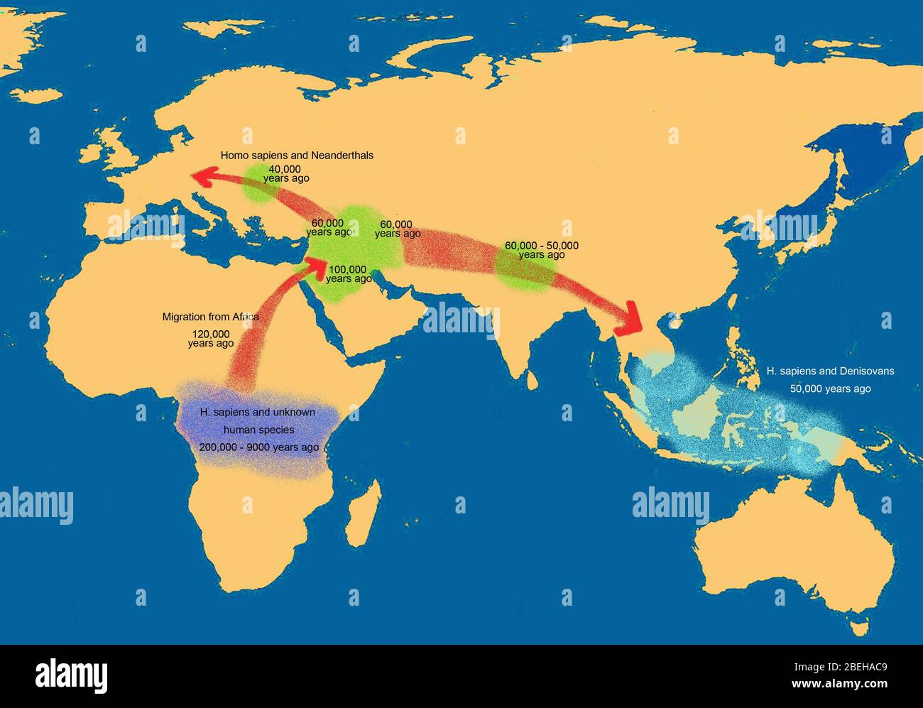 Early Human Migration Map Stock Photo