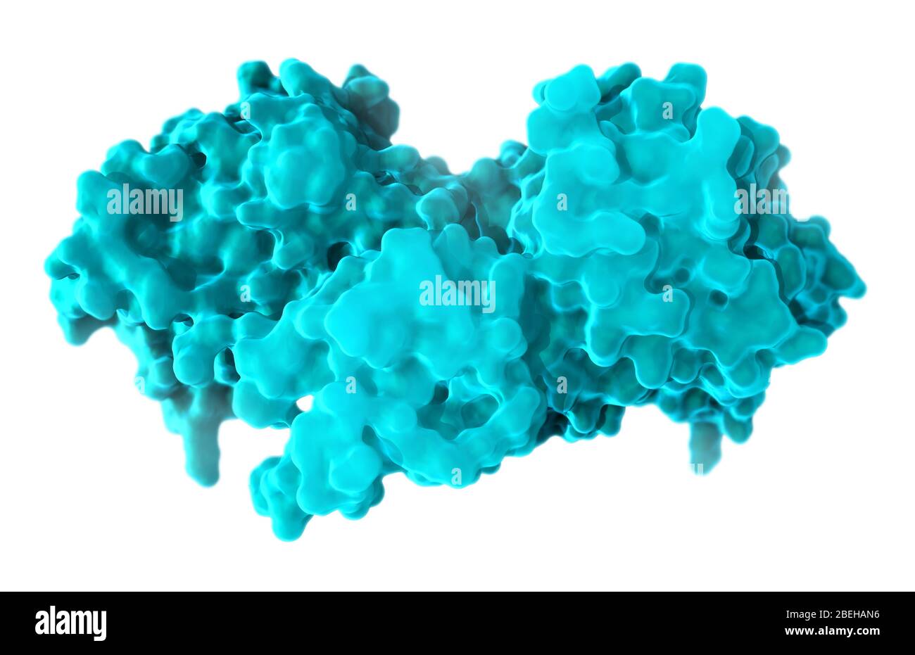 B-Raf Protein, Molecular Model Stock Photo