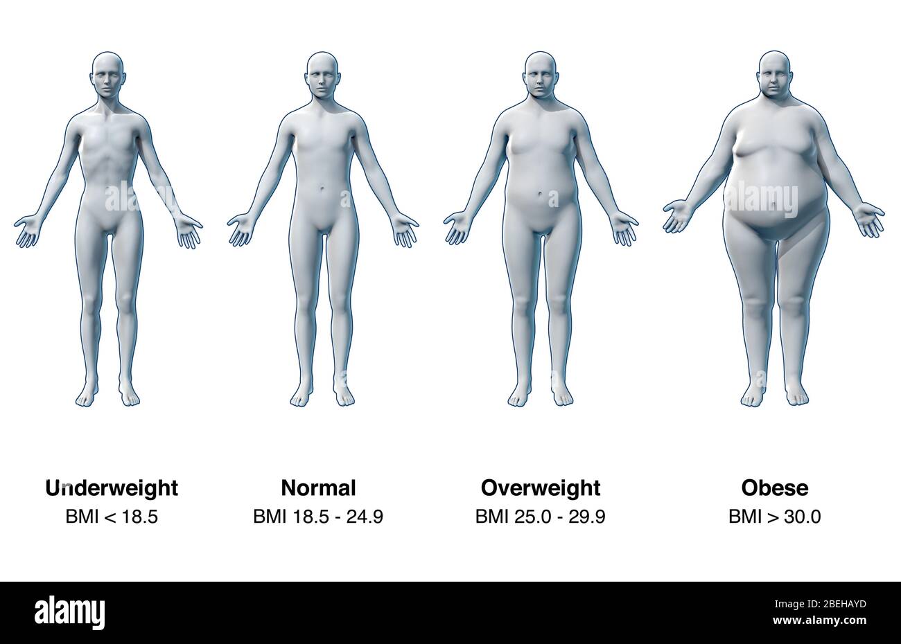 Body Weight and Health: Why the Number on the Scale Is Deceptive