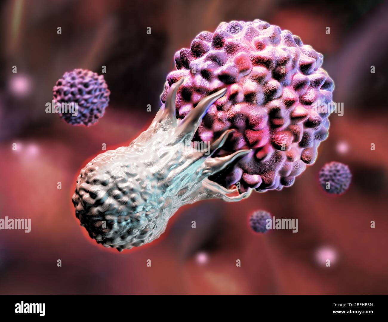 t cell fighting cancer