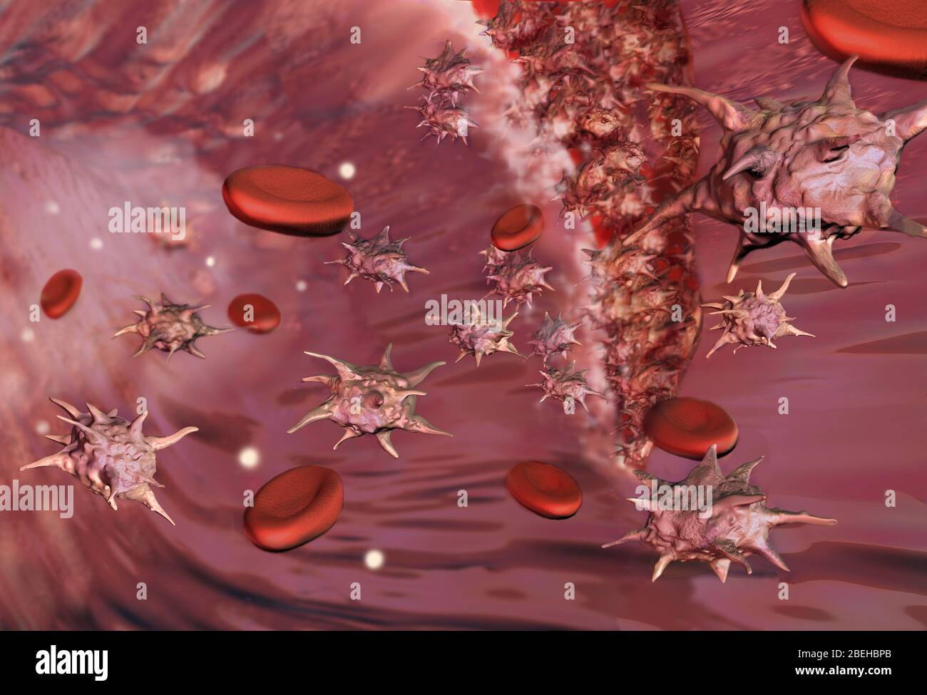 Platelets, Illustration Stock Photo