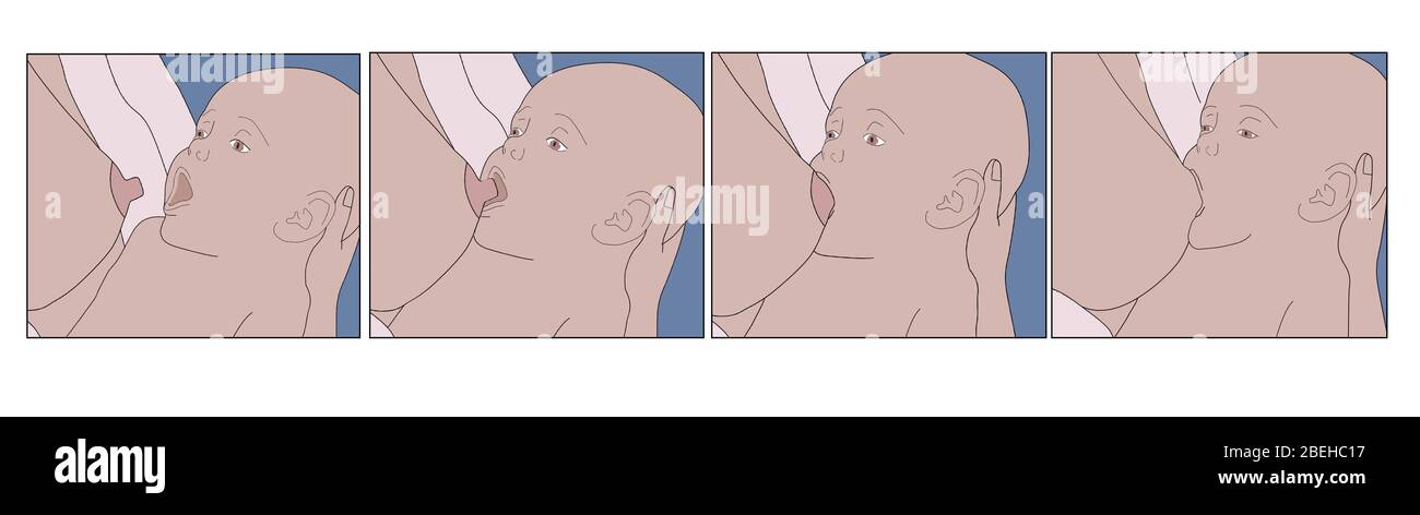 Breastfeeding Instructions for Latching On Stock Photo