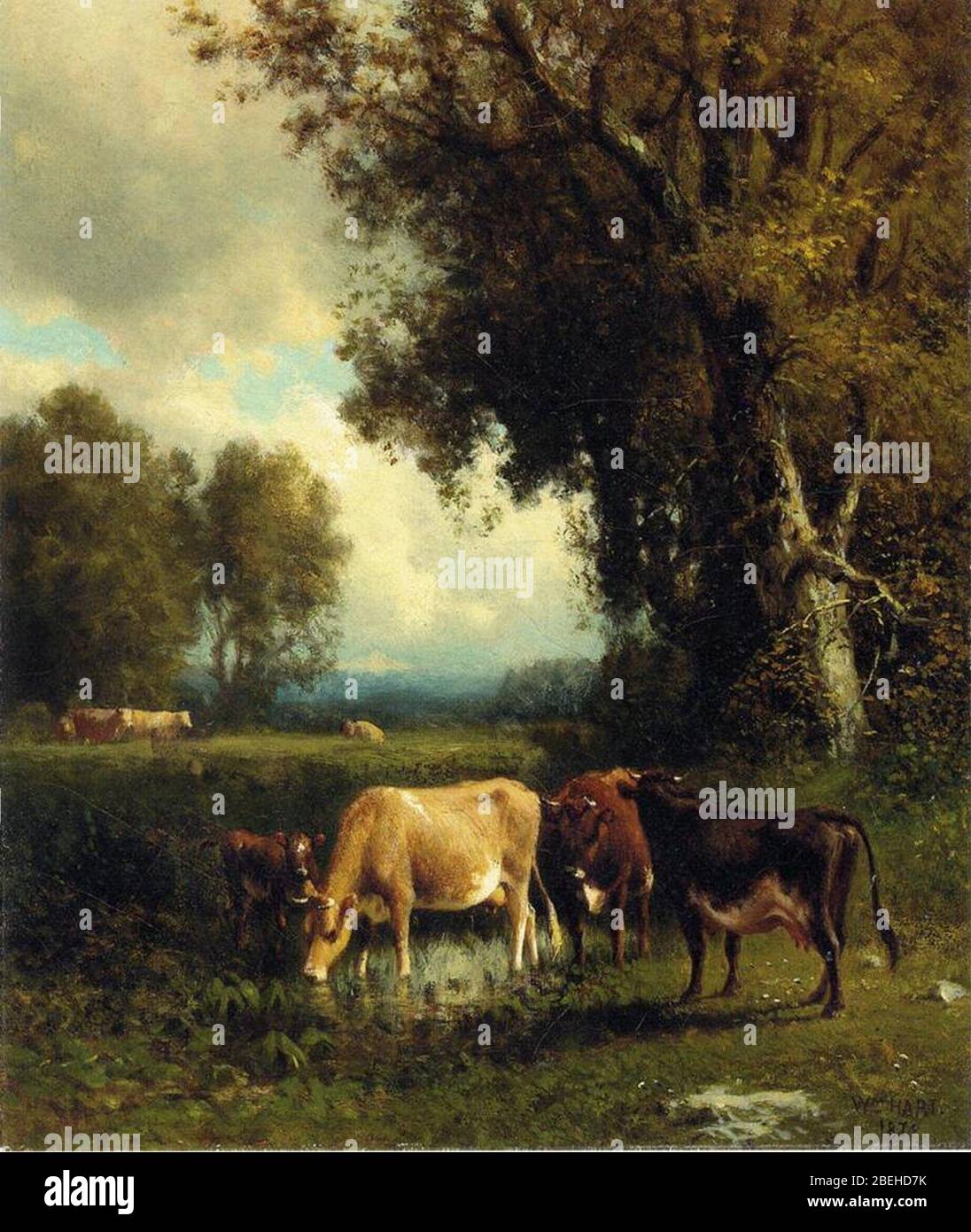 William M. Hart Cows in the Meadow. Stock Photo