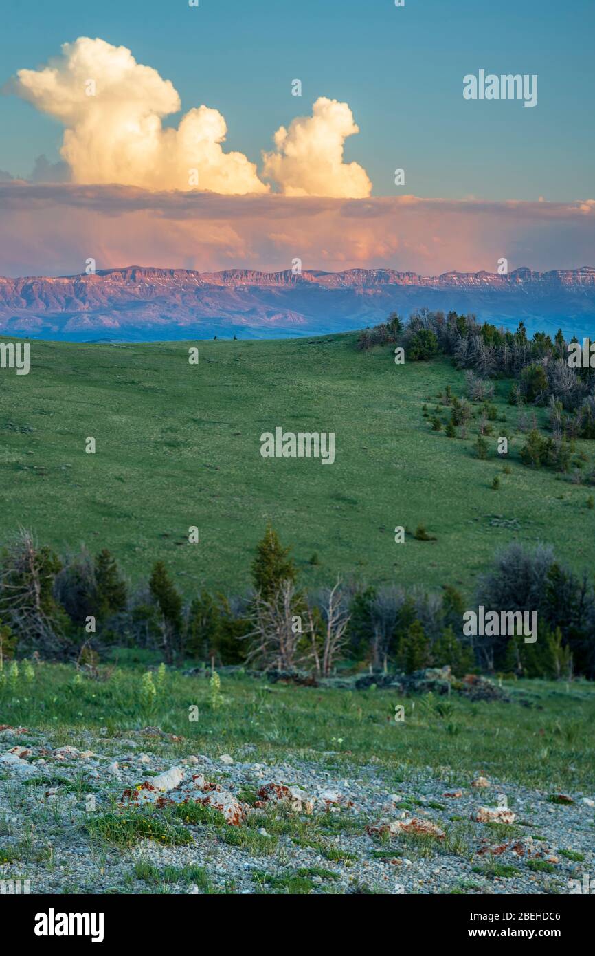 Rattlesnake Mountain in the Shoshone National Forest of Wyoming Stock Photo