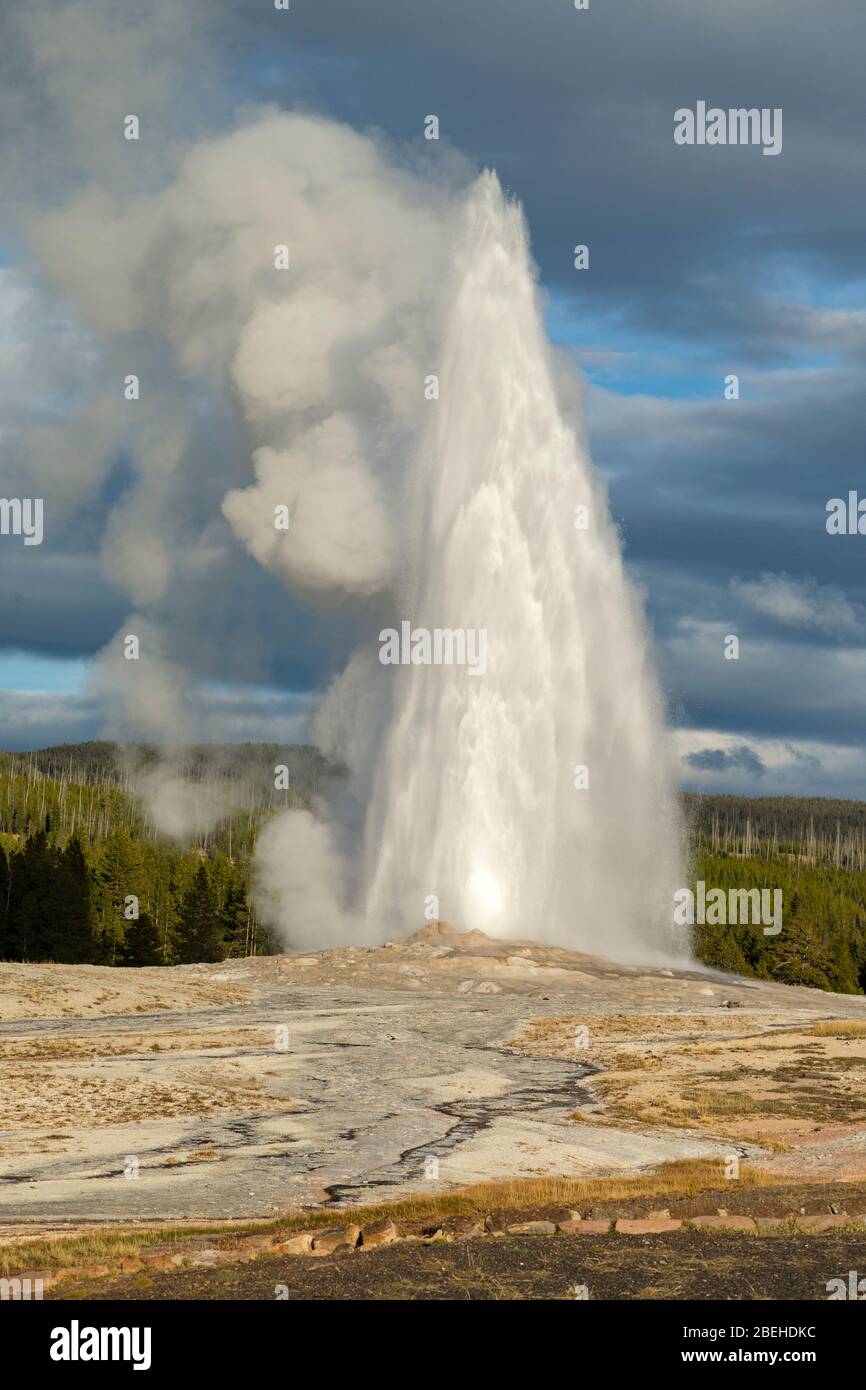 Old Faithful geyser erupting in Yellowstone National Park Stock Photo