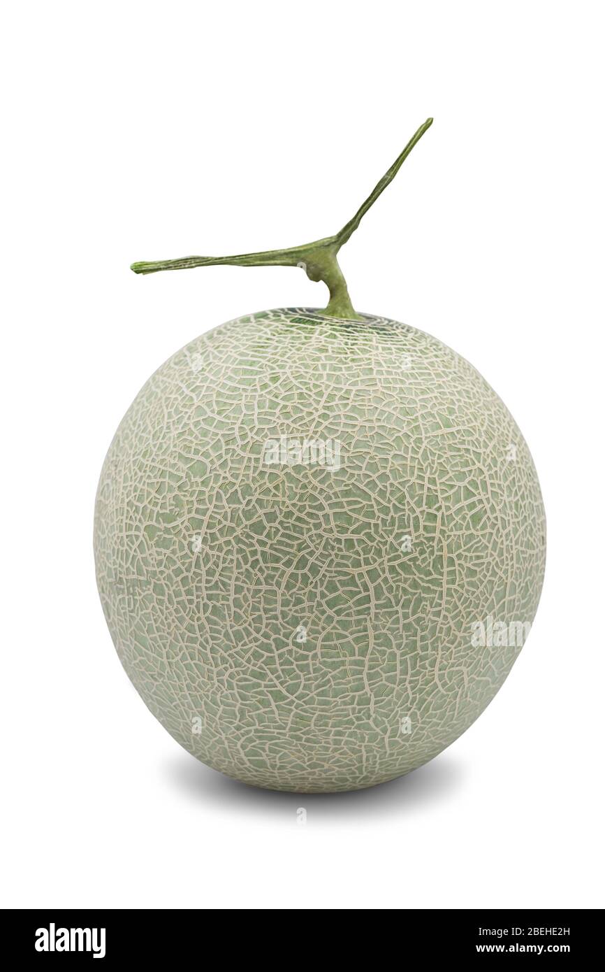 Whole organic honeydew melon on white background with clipping path in