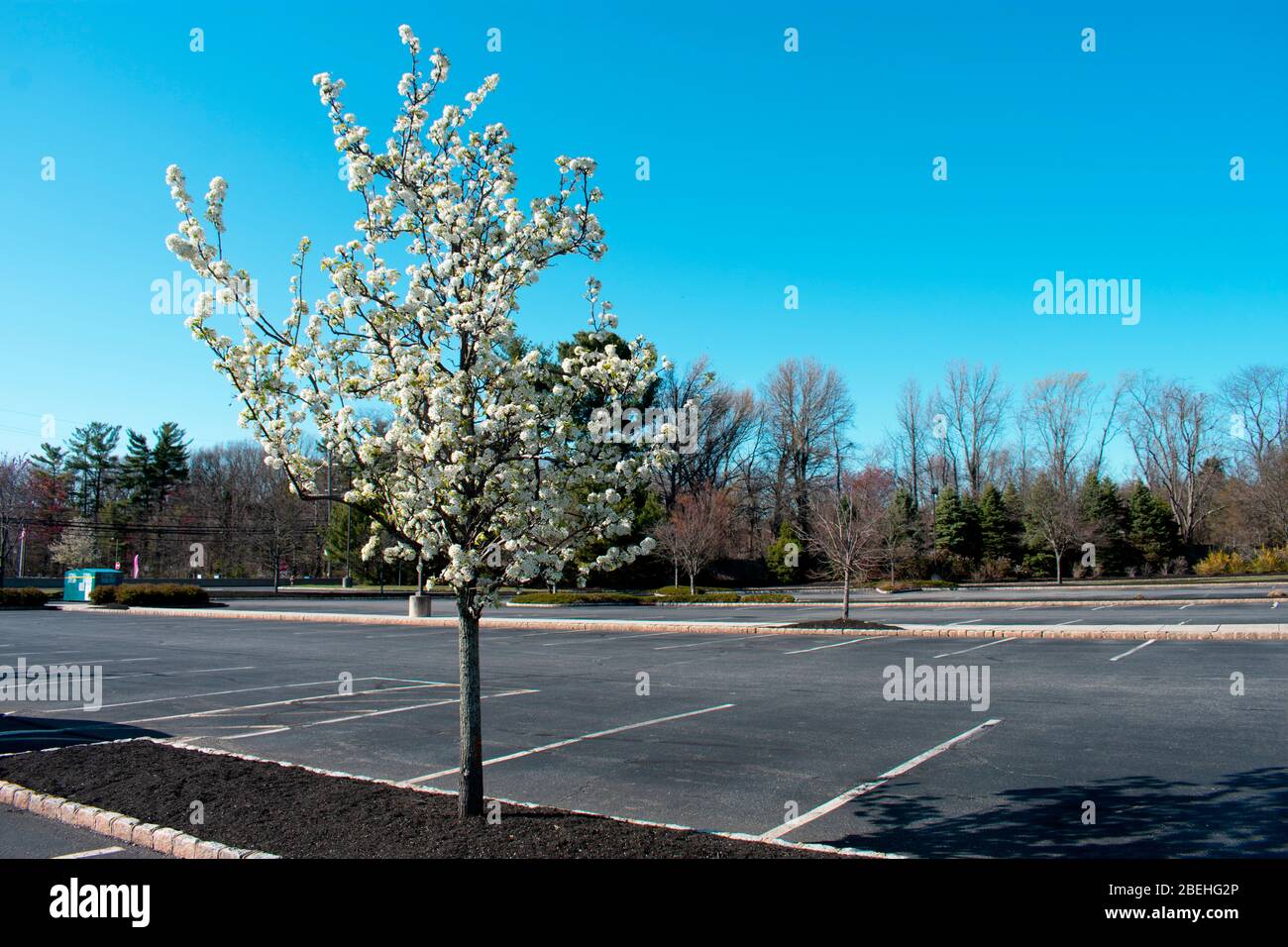 Few shoppers are found in an otherwise busy strip mall in Marlboro, New Jersey, on Monday, April 6th, 2020, due to Covid-19 restrictions -05 Stock Photo