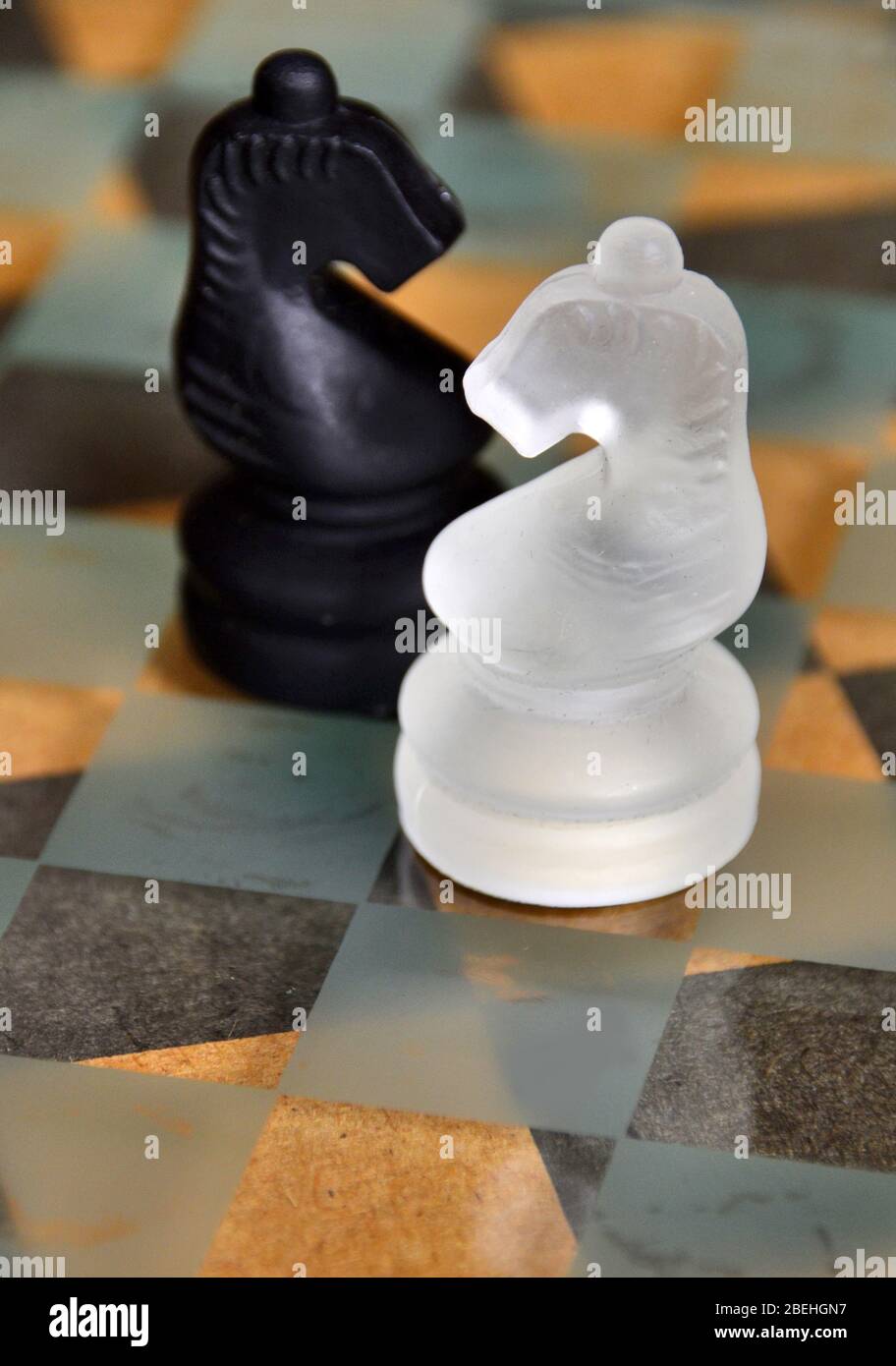 Black and white glass knight chess pieces on glass board. Stock Photo