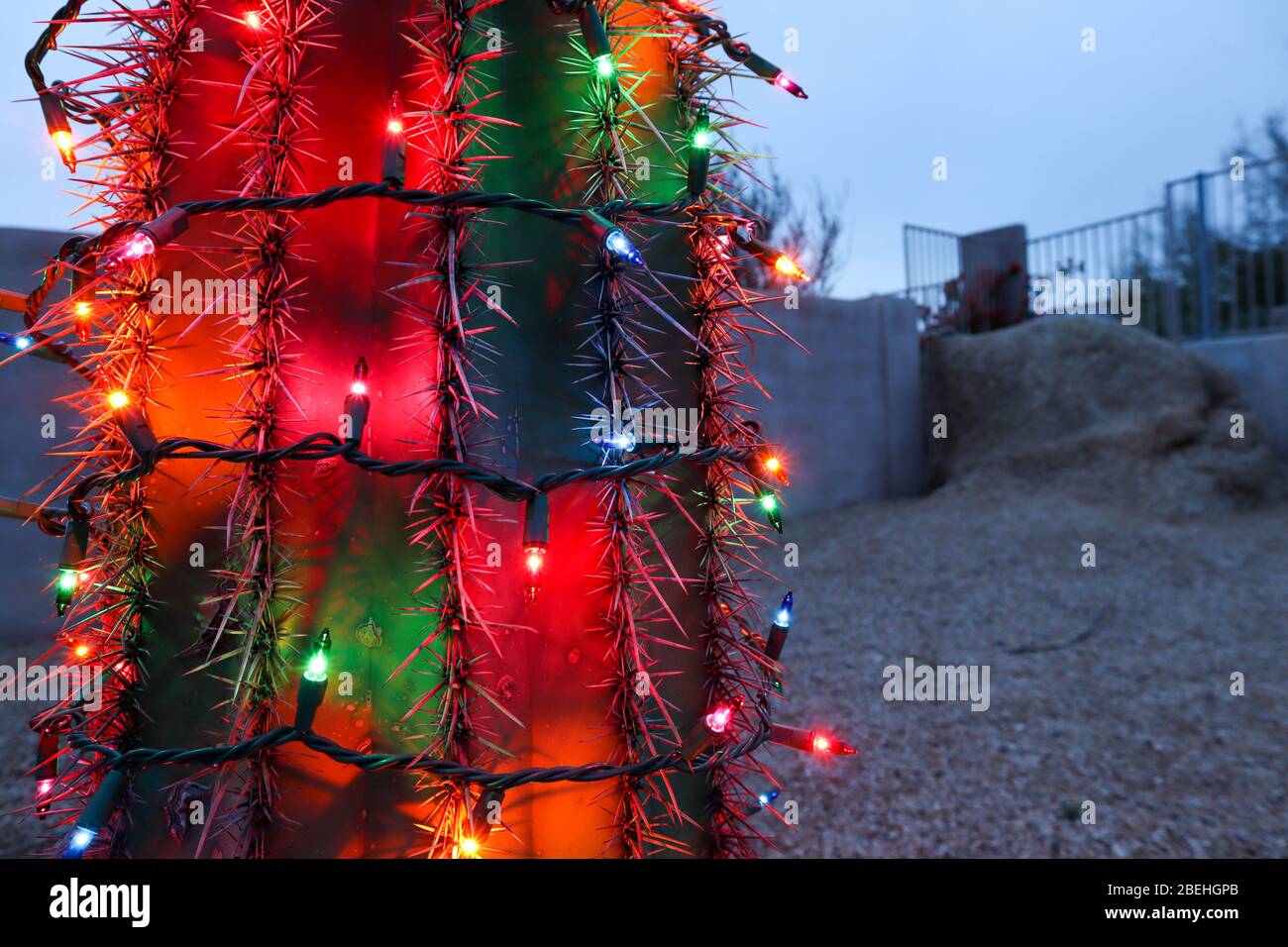 Christmas Lights on Cactus Stock Photo Alamy