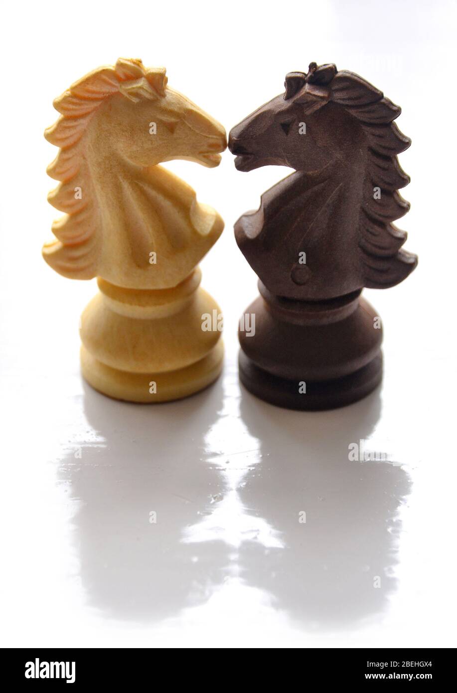 Chess horse hi-res stock photography and images - Alamy