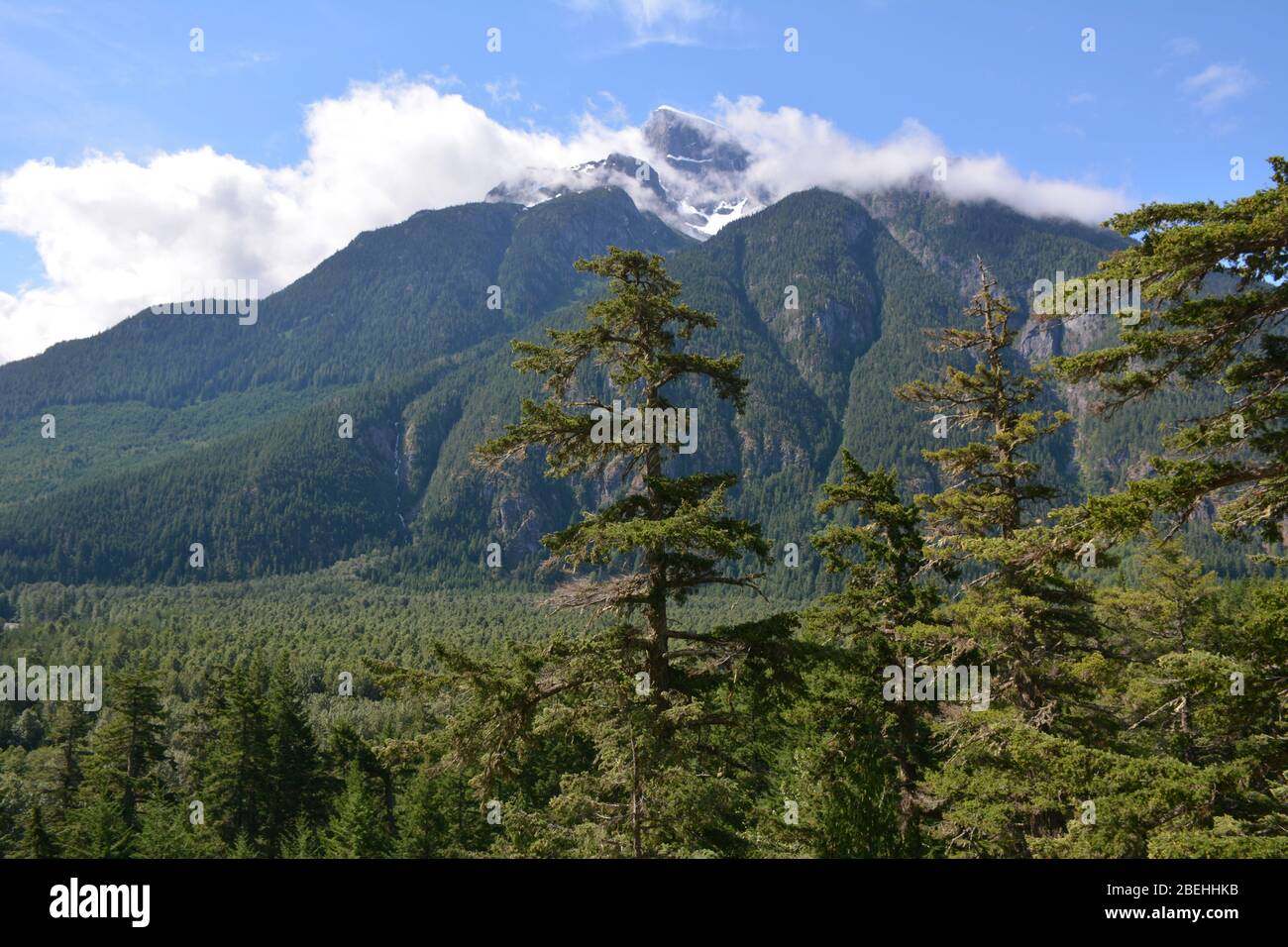 Landscape of the Bella Coola Valley, British Columbia, Canada Stock