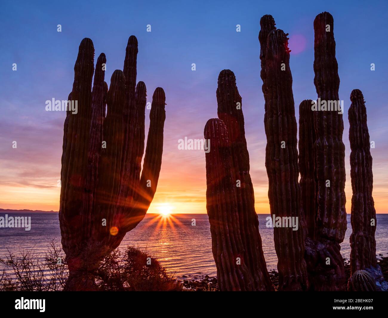 Sunrise over Isla San Esteban, Baja California, Mexico. Stock Photo