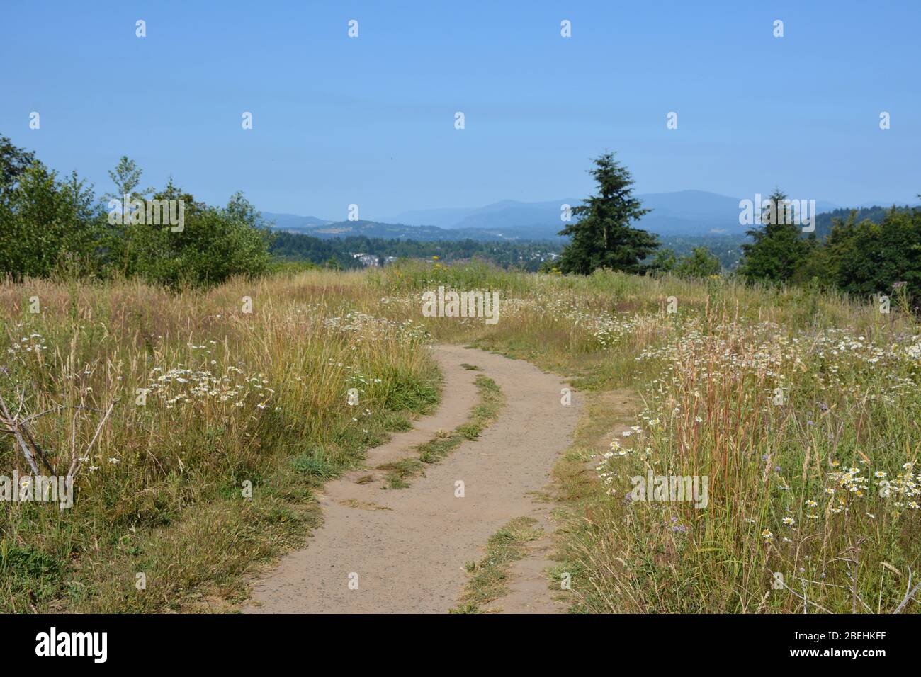 Walking paths at the top of Powell Butte Nature Park, Portland, Oregon, USA. Powell Butte is an