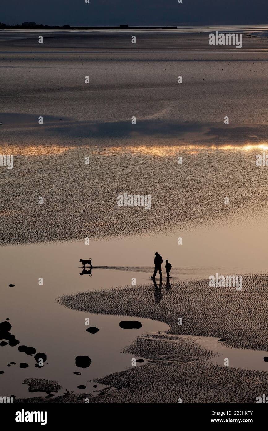 Father and son, possible single parent walking the dog on a beach with the silhouette making them unrecognisable Stock Photo