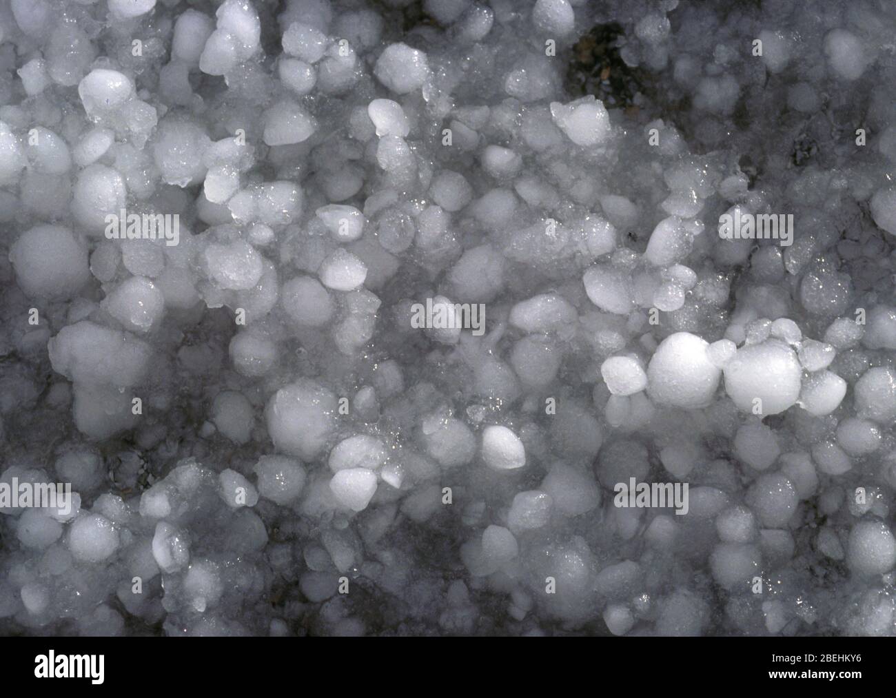 Hail on groundfreeze, freezing, frozen Stock Photo Alamy
