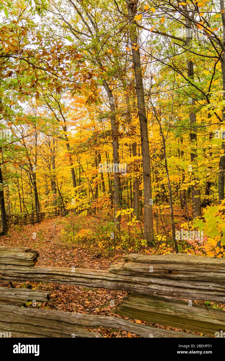 Hamilton mountain trail hires stock photography and images Alamy