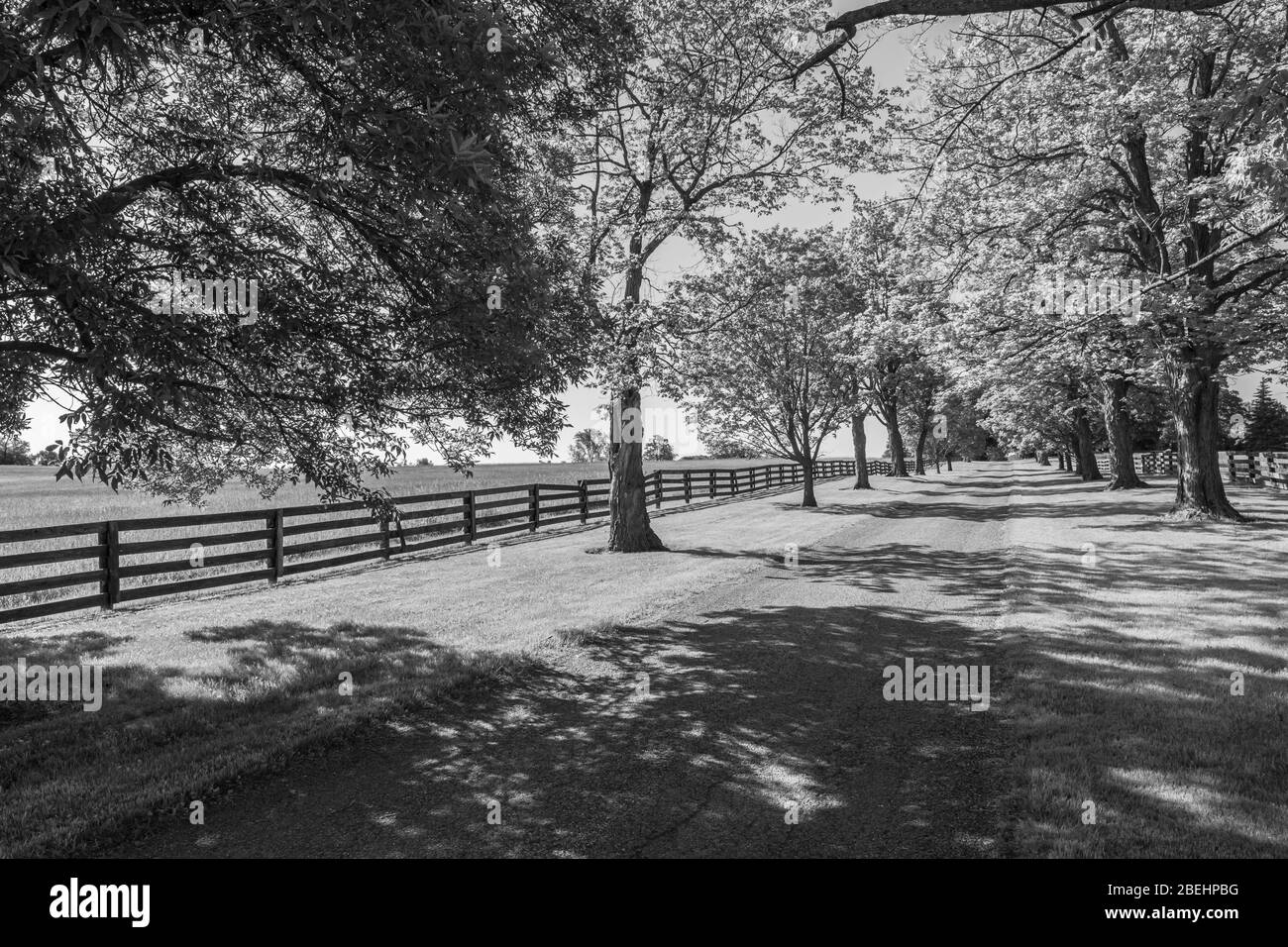 Algonquin Highlands County Cottage Country Vistas Waterfalls and Flora Fauna Ontario Canada Stock Photo