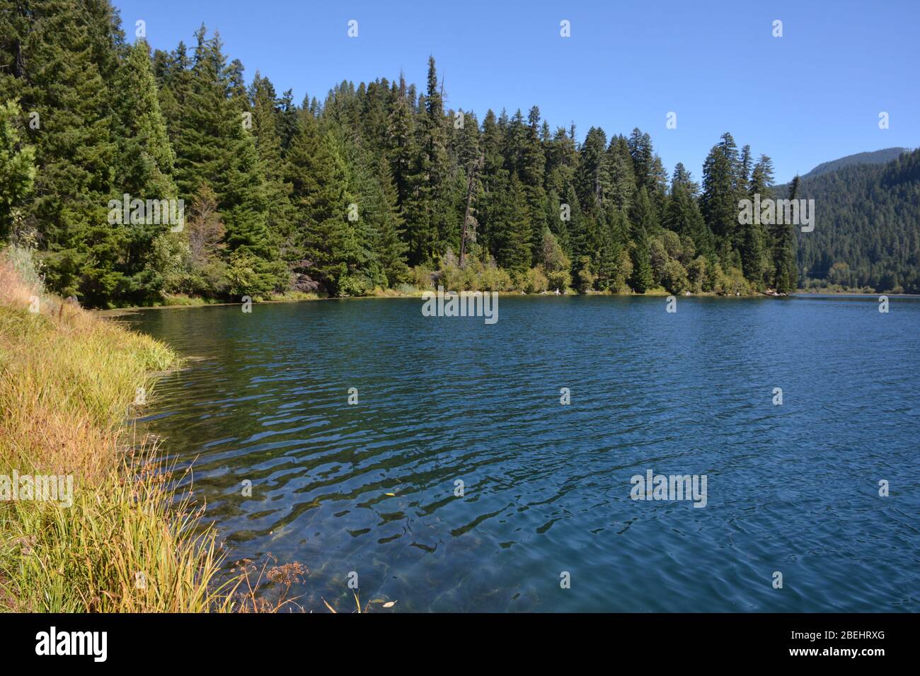 North Umpqua River, Umpqua National Forest, Oregon, USA Stock Photo Alamy