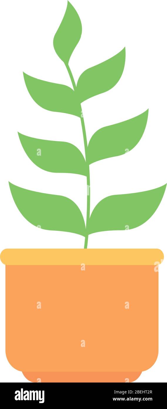plant in house pot isolated icon Stock Vector Image & Art - Alamy