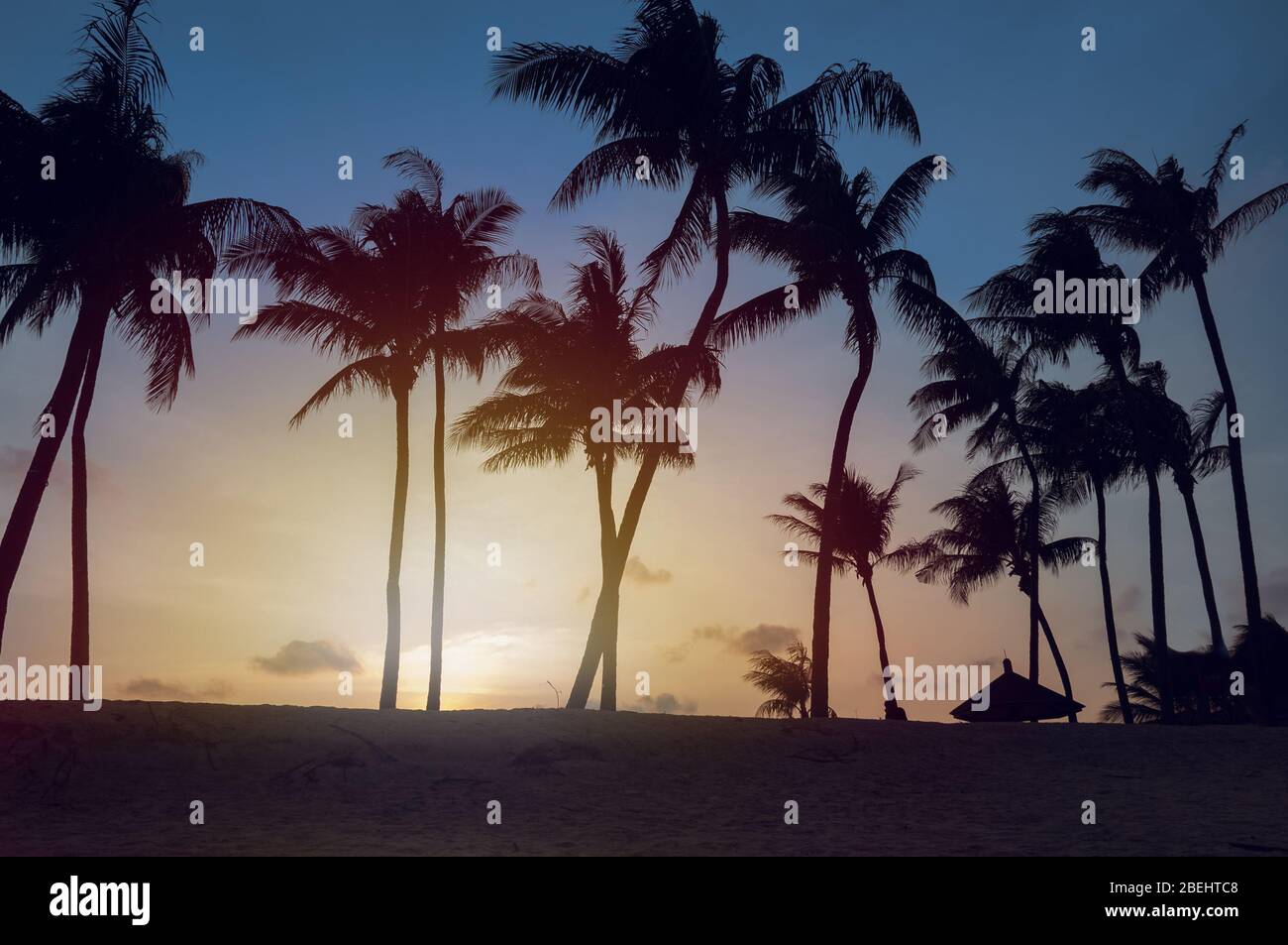 Tropical beach sunset landscape with palm trees silhouettes against ...