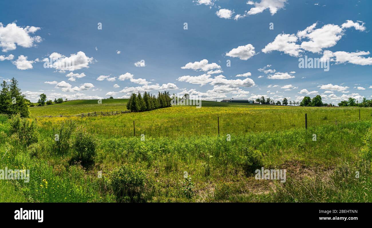 Peterborough ontario canada hi-res stock photography and images - Alamy
