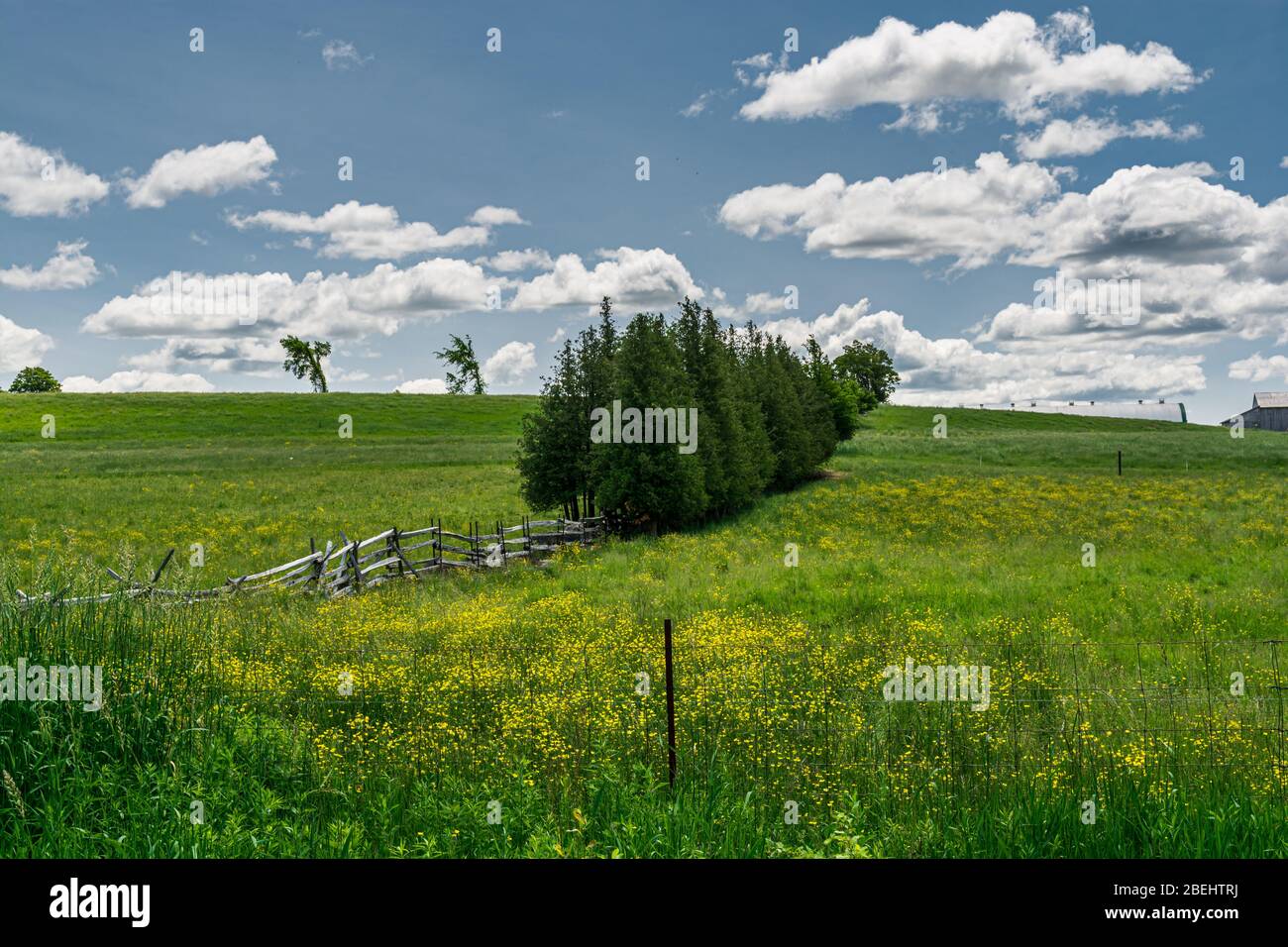Peterborough ontario canada hi-res stock photography and images - Alamy