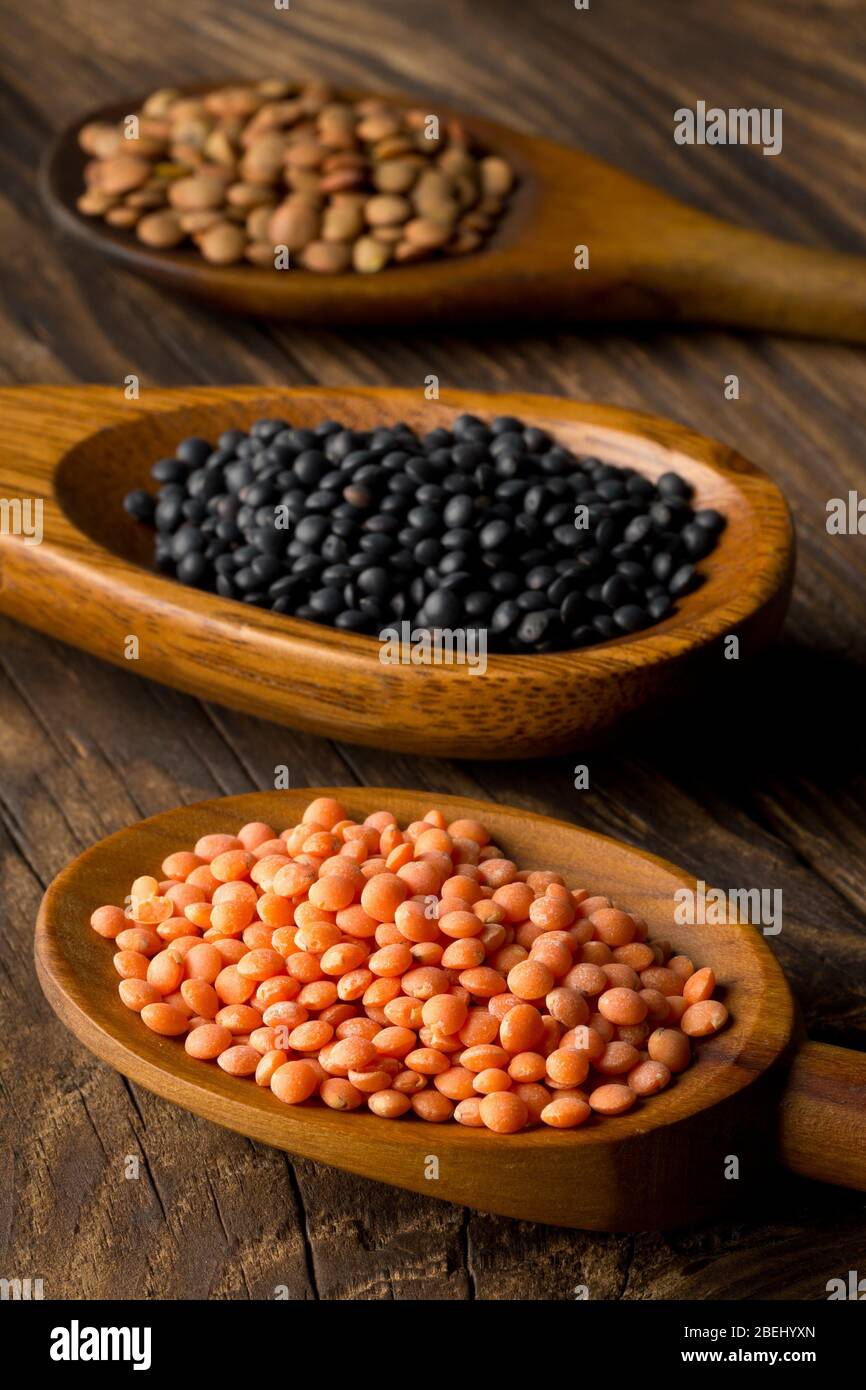 Different assorted lentils mix with red, brown and black beluga lentils in wooden scoops on brown wooden table background - selective focus Stock Photo