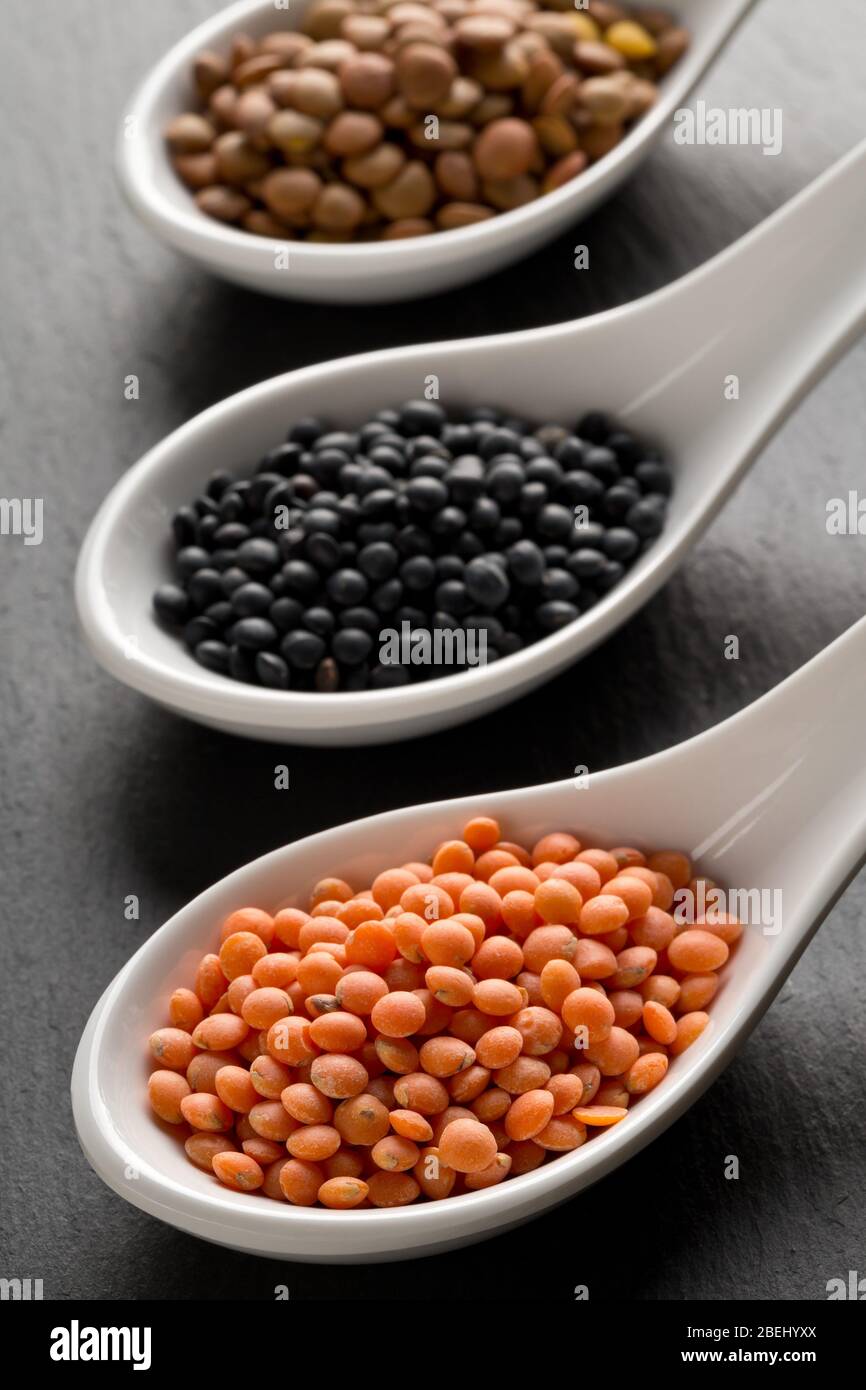 Different assorted lentils mix with red, brown and black beluga lentils in white spoons on dark stone background - selective focus Stock Photo